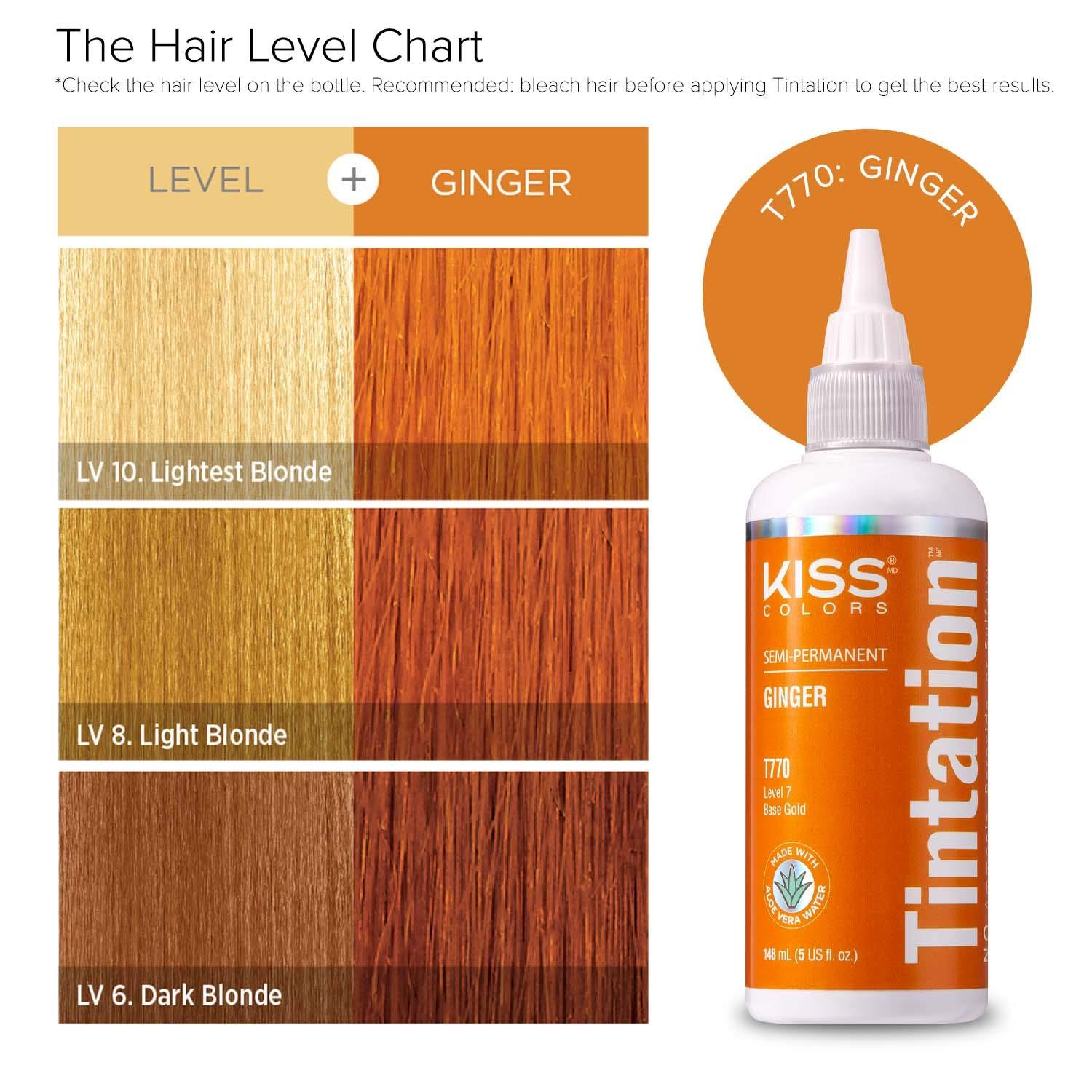 Kiss Tintation SemiPermanent Hair Color Treatment 148 mL (5 US fl.oz