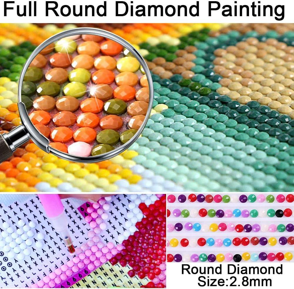 Diamond Painting Sea Bird, DIY 5D Large Diamond Art Kits for Adults  Embroidery Square Full Drill Dots Crystal Rhinestone Paint by Numbers Kids  Diamond