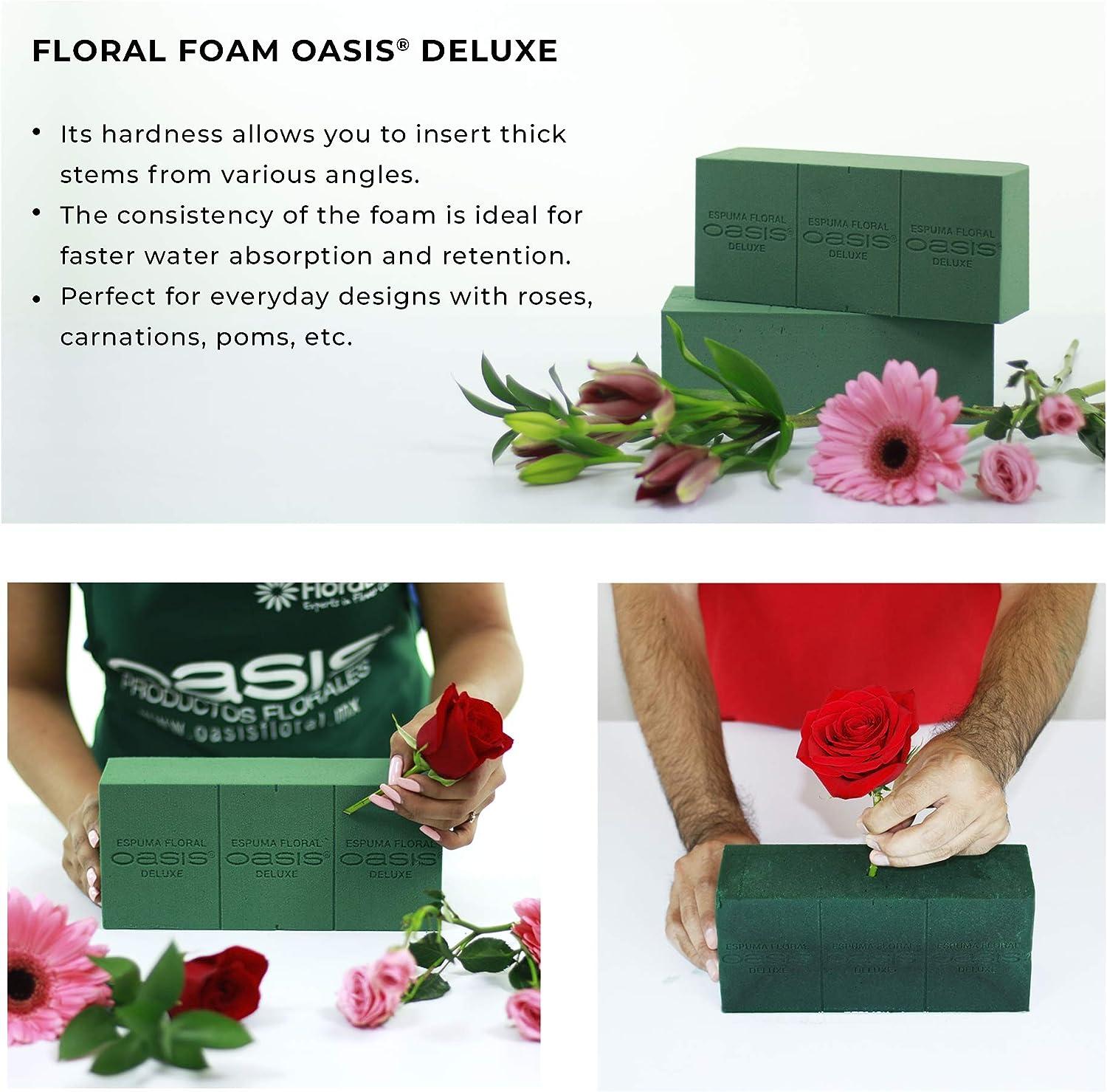 Oasis Smithers Floral Foam Deluxe - Foam Bricks - Craft Blocks - Foam for  Dry Flowers - Lightweight Green Foam - Florist Foam for Arrangements and  Decorations - 6 Pack