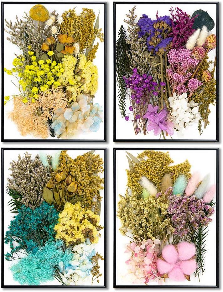 Vignee Real Dried Pressed Leaf Flowers-Multiple Colorful Pressed Flowers  Daisies for Craft Resin Jewelry Making