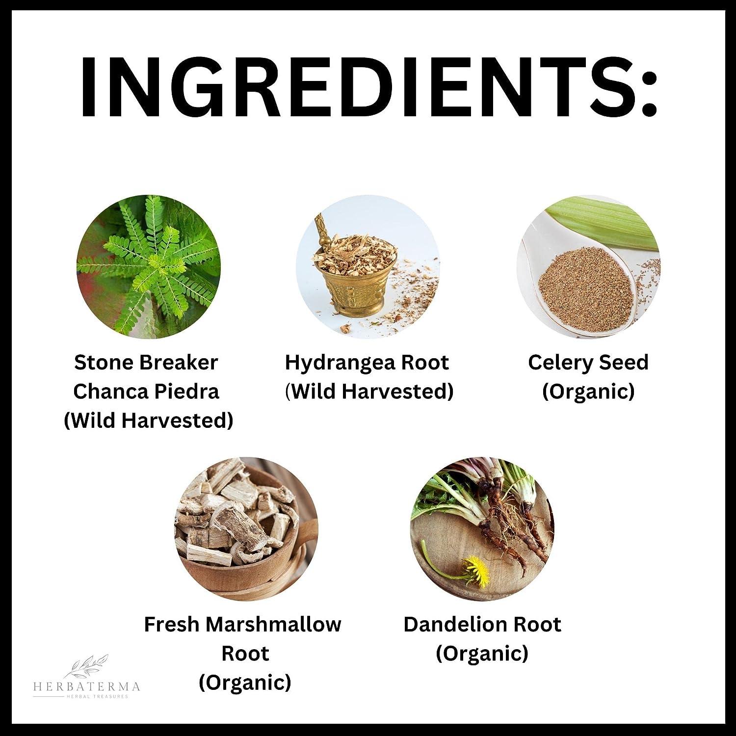 Chanca Piedra Stone Breaker Liquid Formula Complete Kidney