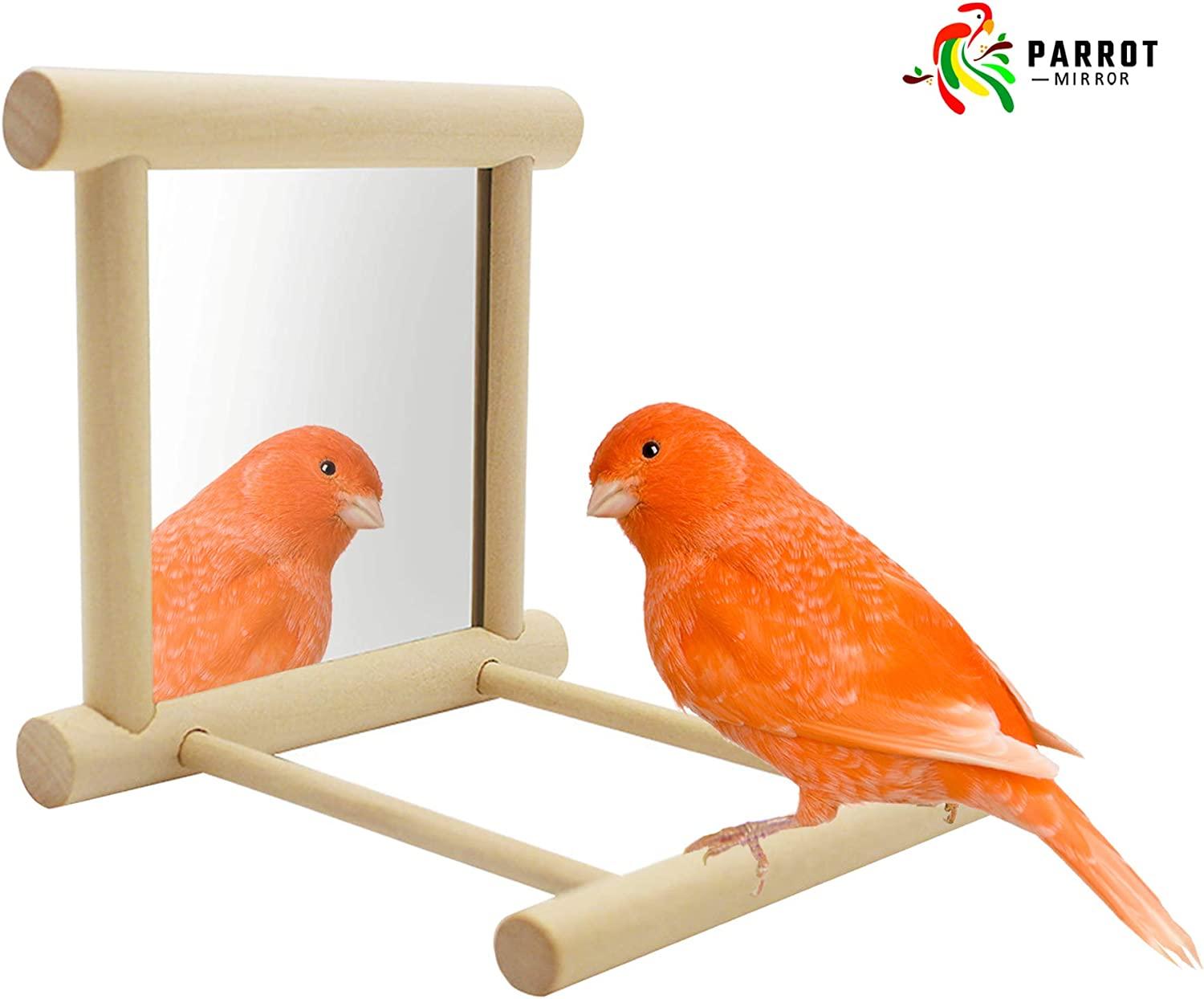 Blessed family Bird Parakeet Mirror for Cage,Parrot Perch Stand,Wooden