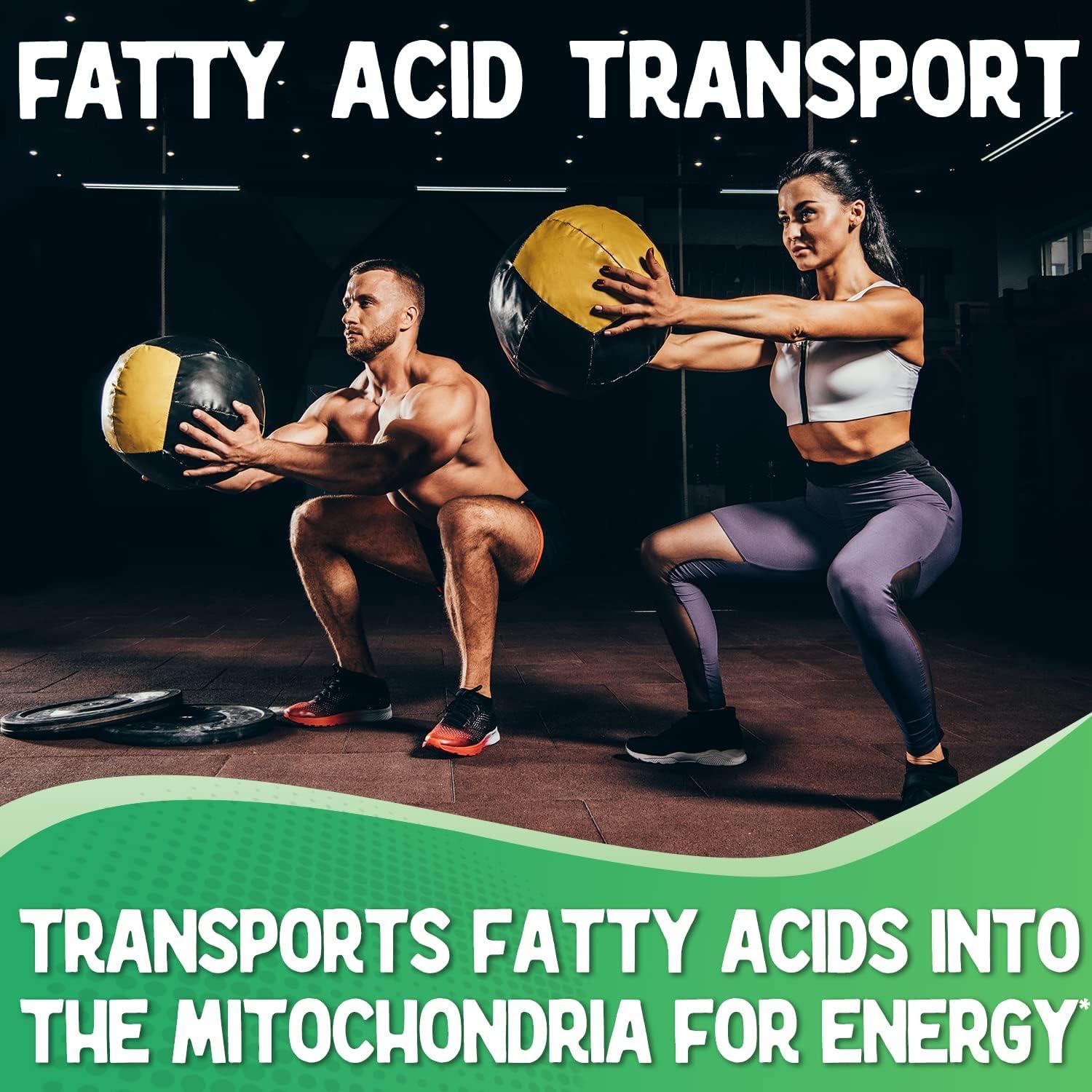 l carnitine tablets or liquid When to Take L-Carnitine for Optimal Training Benefits – Transparent Labs