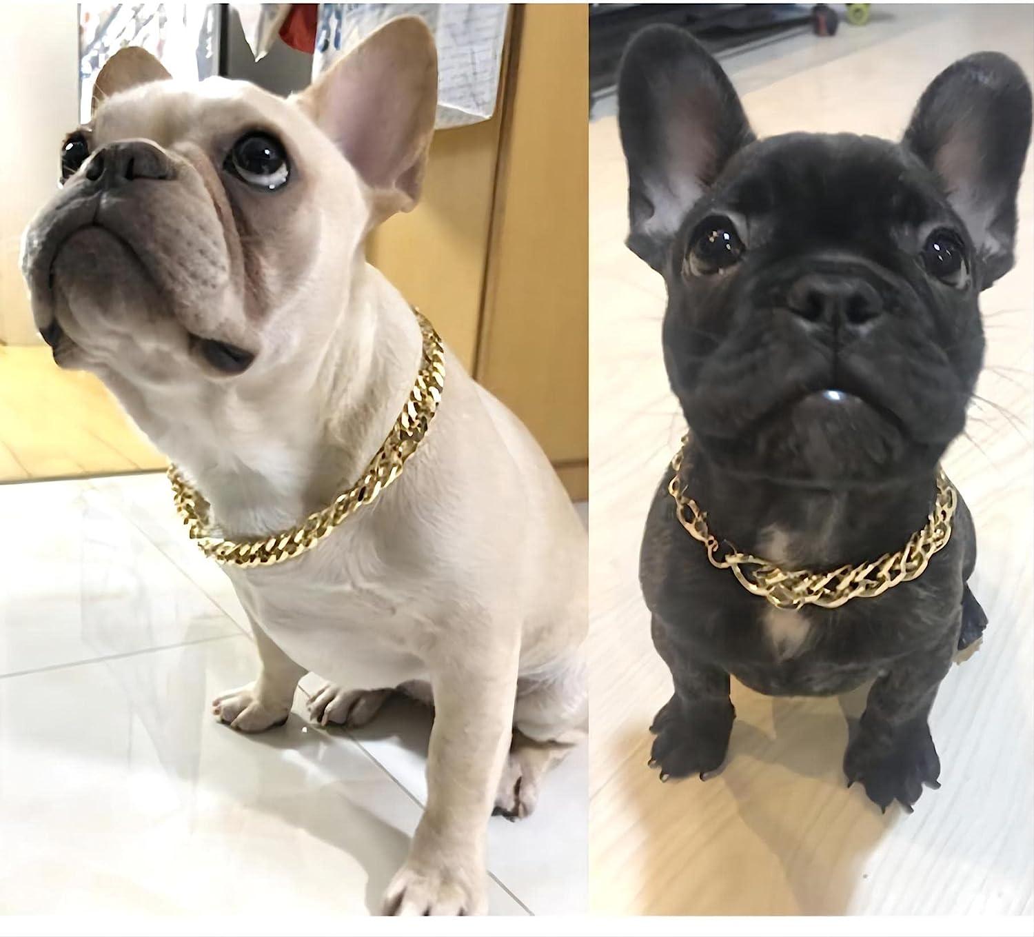 Gold Link Chain Dog Collar - Tiny Bling for Small Dogs or Puppies -  Lightweight Braided Metal Look - Fits Chihuahua, Yorkie, Mini Breeds - Pet  Jewelry & Accessories 