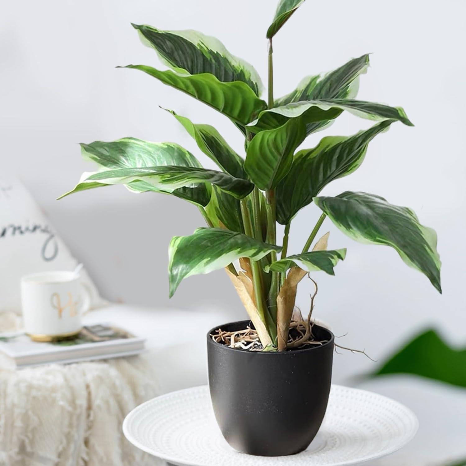 2 Bouquets Artificial Hostas 17.71in Tall Realistic Fake Dieffenbachia with  14 Leaves Low-Maintenance Indoor Aesthetic Artificial Greenery for Wedding  Garden Home Office Decor Fake Plants | Buy Now with Express International  Delivery |