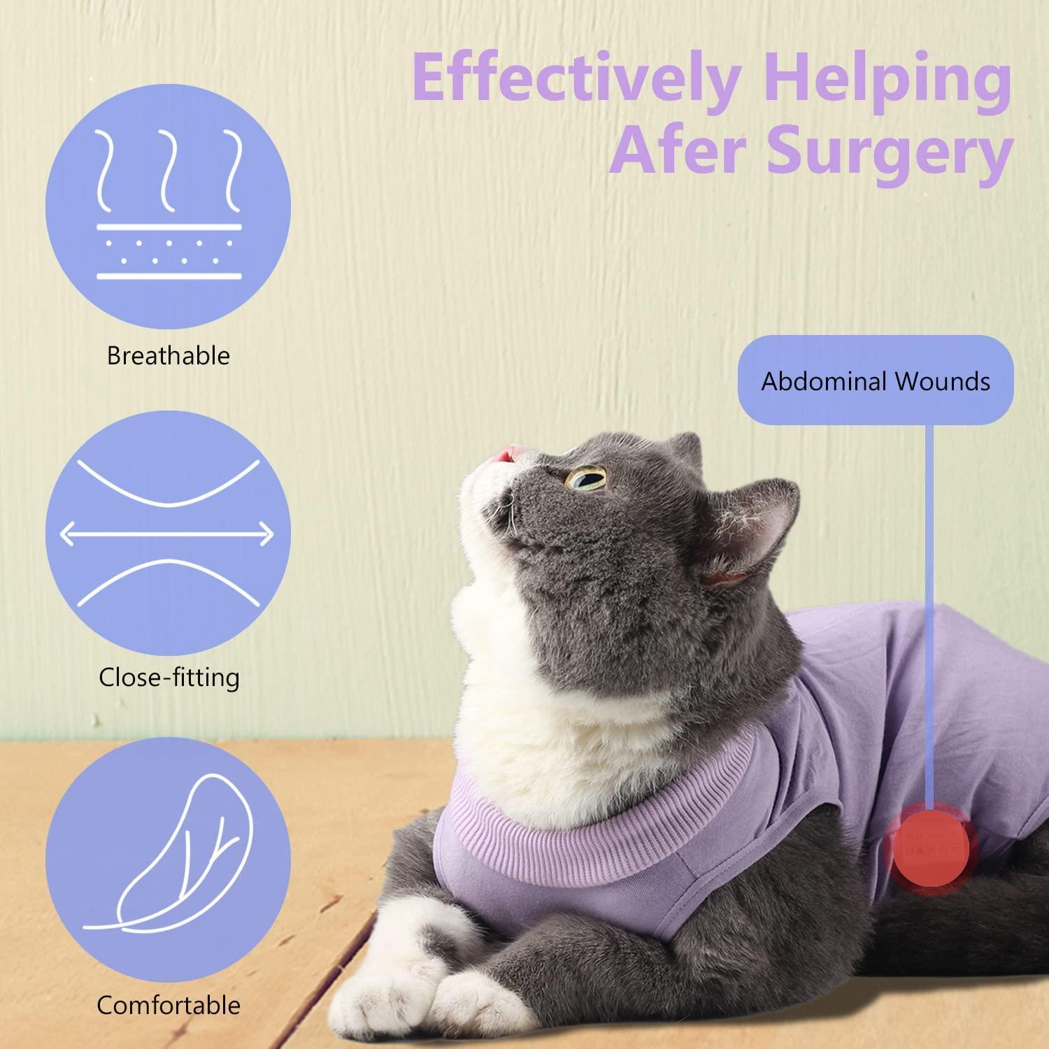 lexvss Cat Recovery Suit for Abdominal Wounds, Professional Cat Surgery Recovery Suit, ECollar