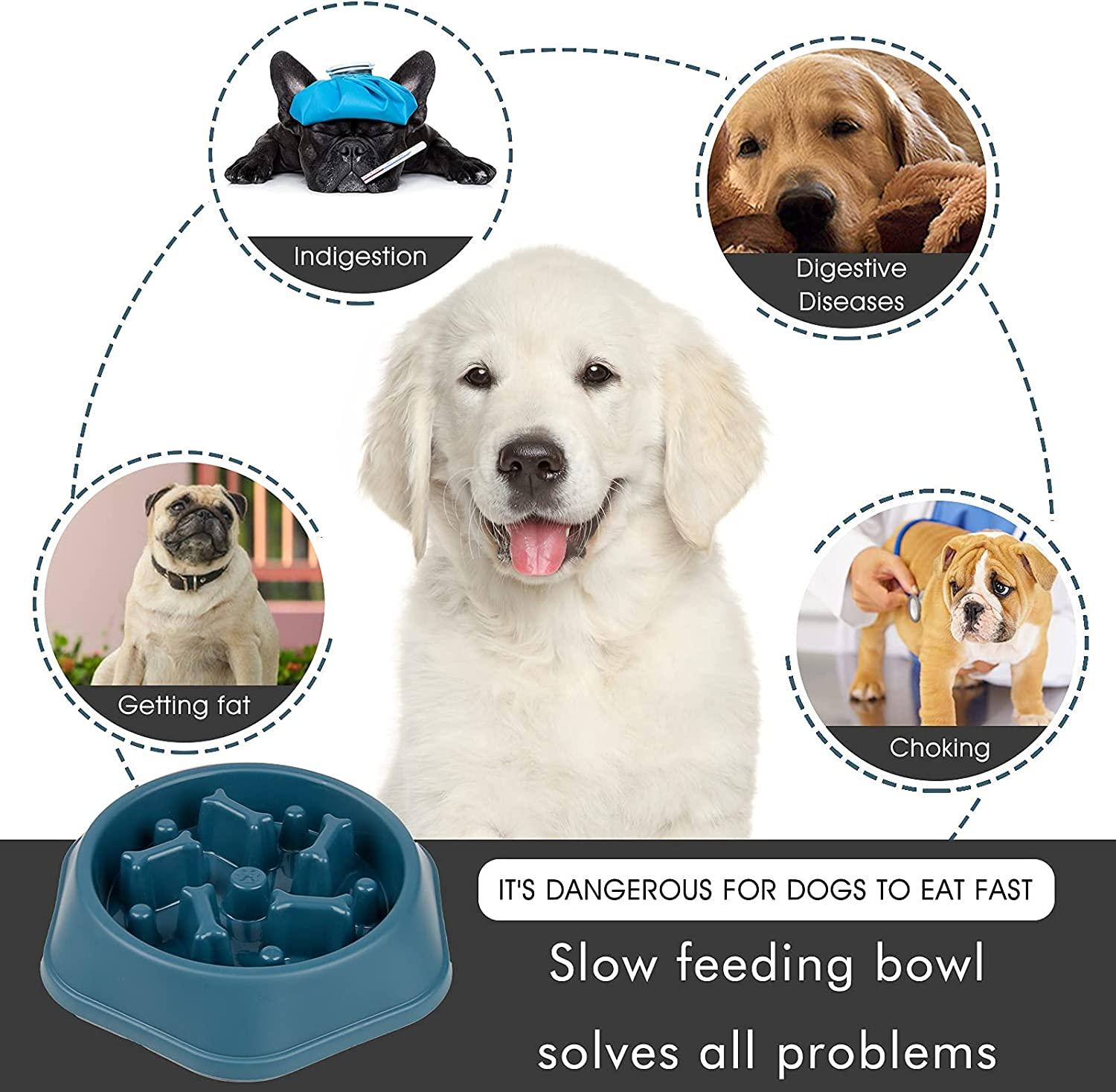 Paw Slow Feeder– Dogologie