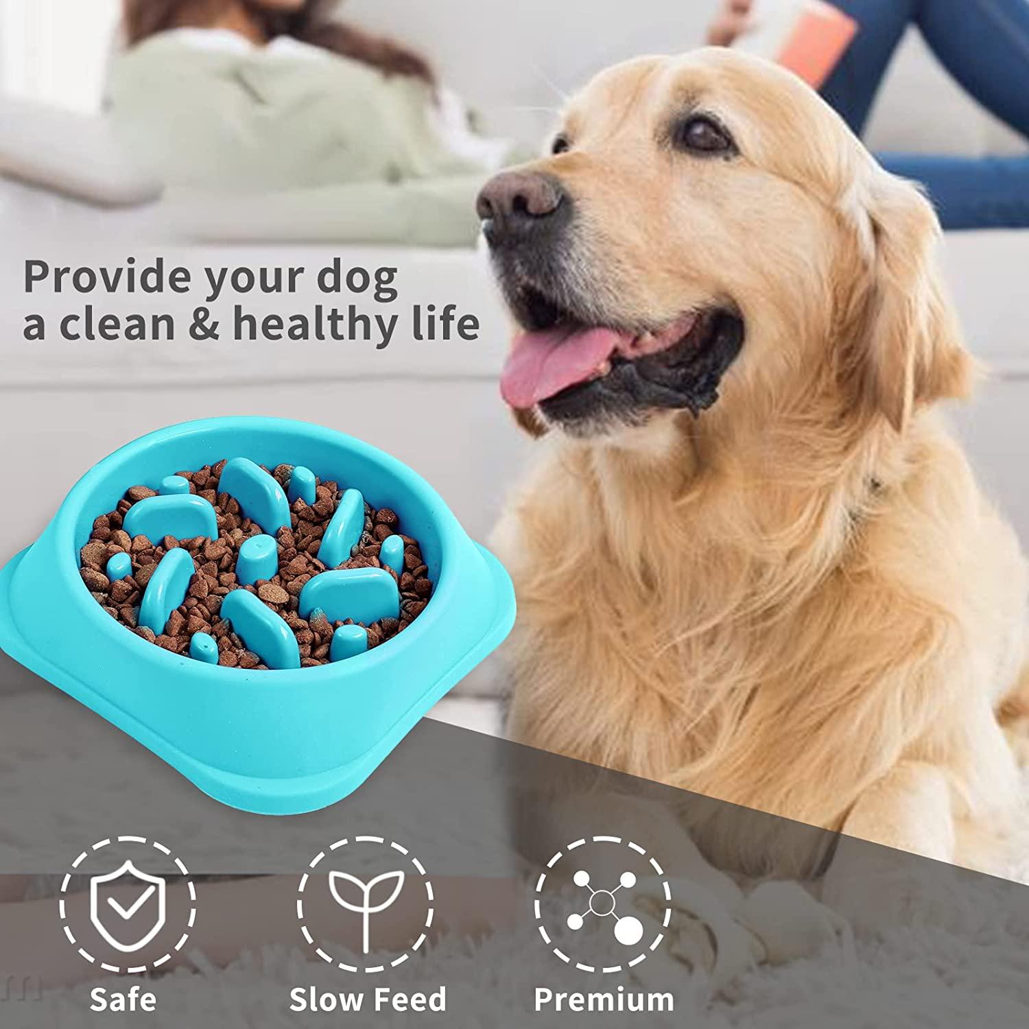 Goory Dog Slow Feeder Bowl, Non Slip Puzzle Bowl - Anti-Gulping Pet Slower  Food Feeding Dishes - Interactive Bloat Stop Dog Bowls - Durable Preventing  Choking Healthy Design Dogs Cats Bowl 