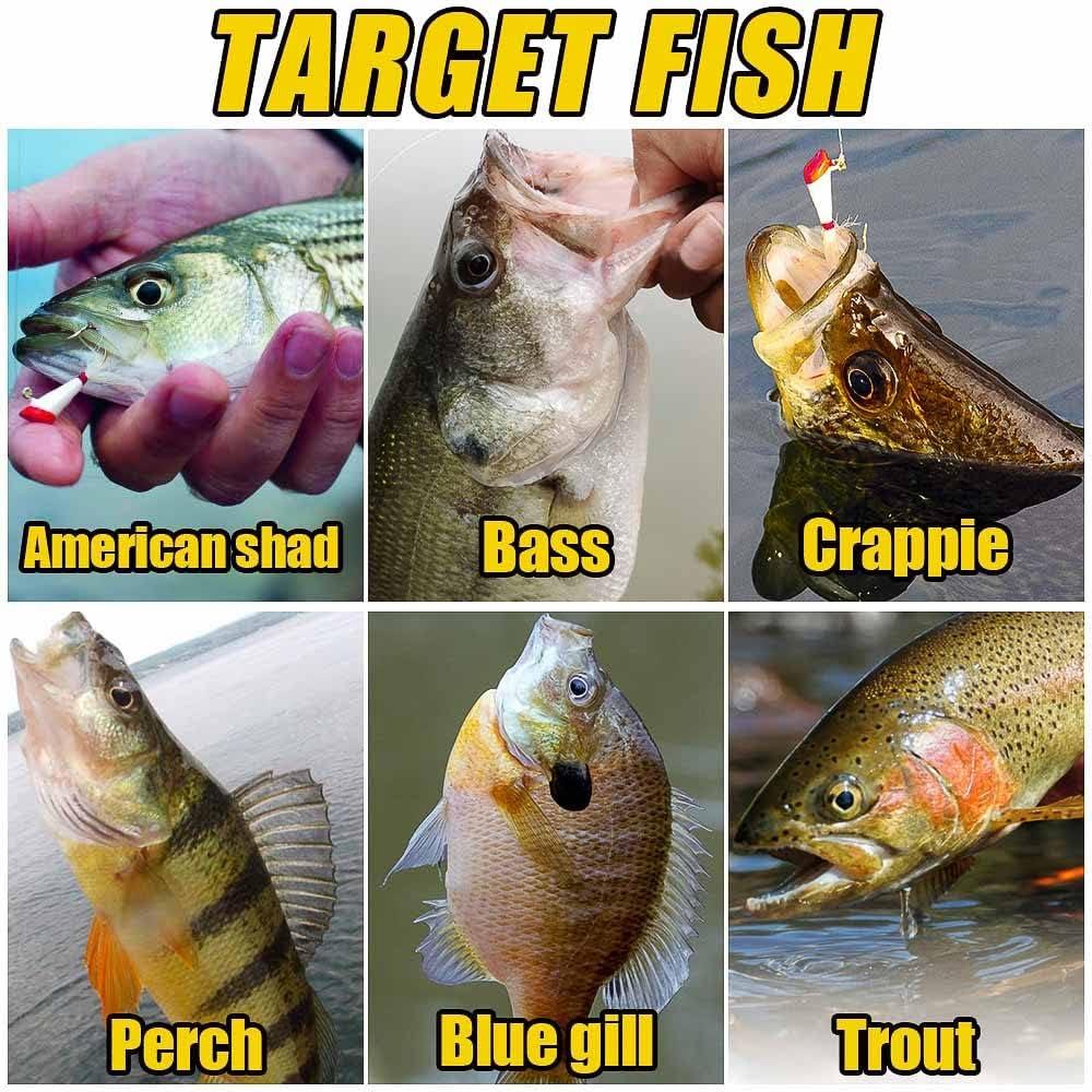 Shad Darts Fishing Lures 1/8oz 25 Pack - Dart Head Jig for Shad, Bass, Walleye - White Chartreuse Color - Bucktail Hair Jigs - Ideal for Crappie & Panfish | Buy Now Shad Darts Fishing Lures 1/8oz 25 Pack - Dart Head Jig for Shad, Bass, Walleye - White Chartreuse Color - Bucktail Hair Jigs - Ideal for Crappie & Panfish | Buy Now