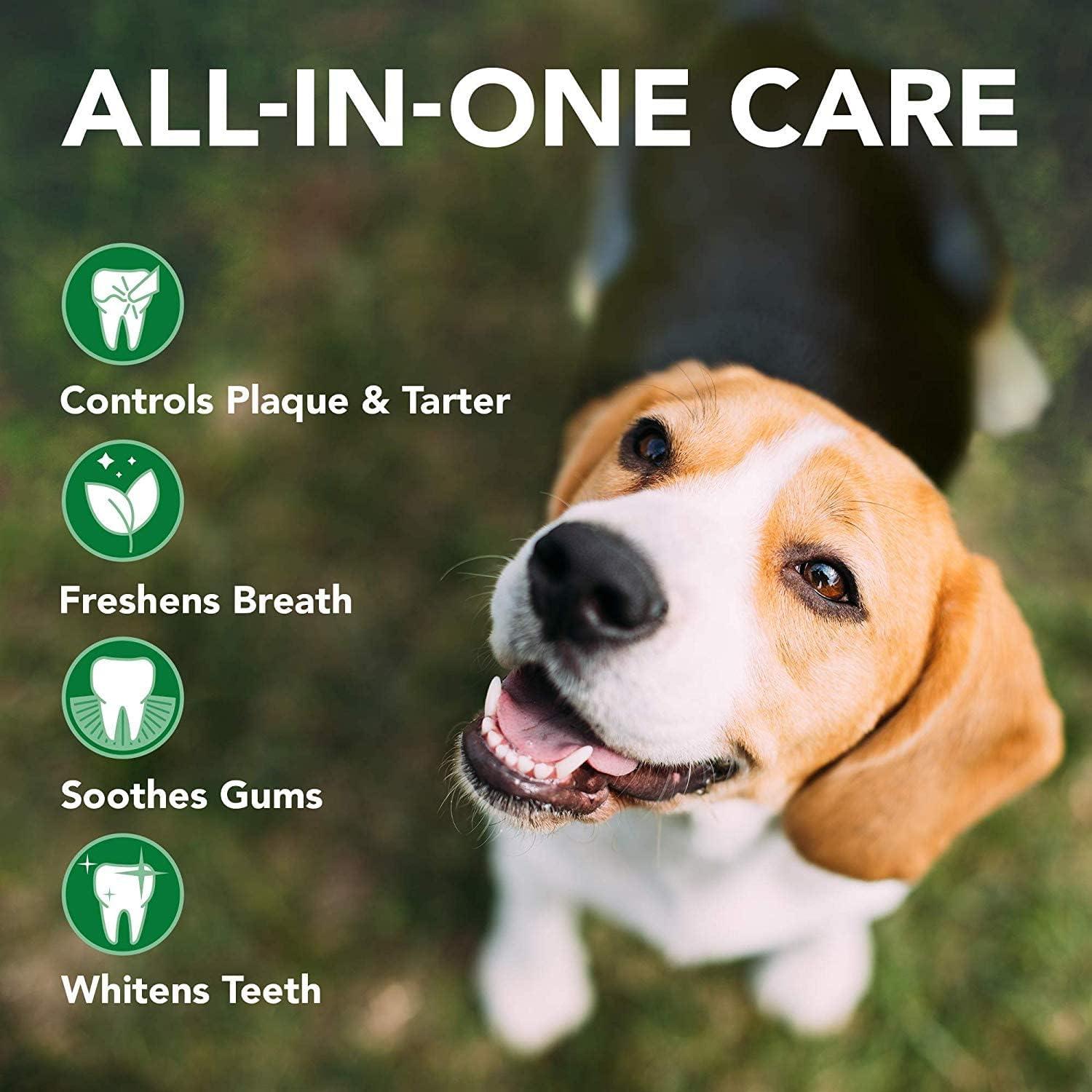 Buy Vets Best Advanced Dental Foam for Dogs - 120 ml | Best Oral