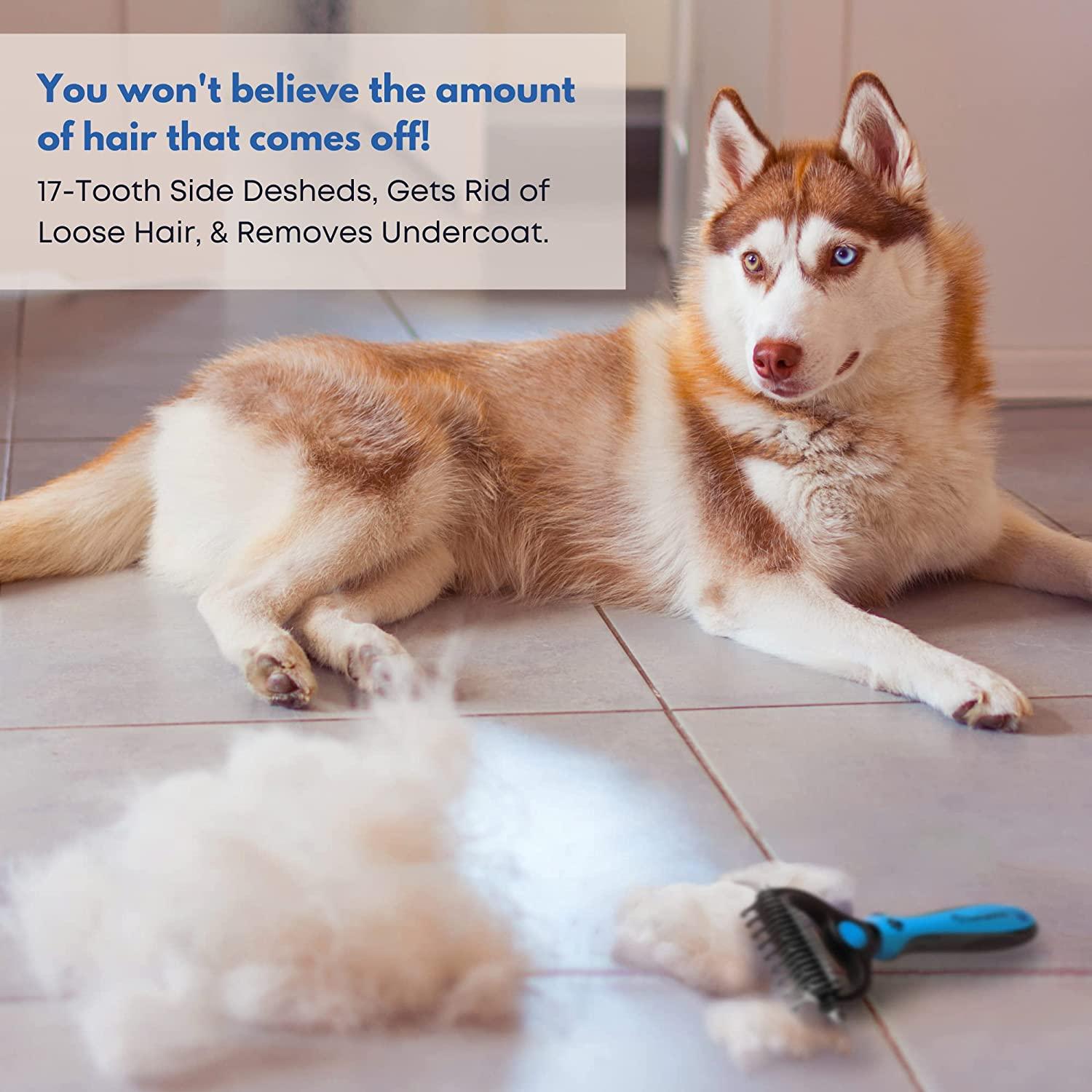 Freshly Bailey Dematting and Deshedding Brush Tool Double Sided