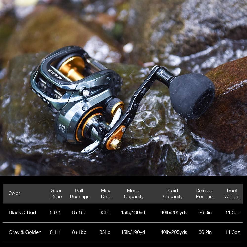 Piscifun Alijoz Baitcasting Fishing Reel, Size 300 Aluminum Frame  Baitcaster Reel, 33Lbs Max Drag, Available in 5.9:1/8.1:1 Gear Ratio,  Freshwater and Saltwater Powerful Handle Casting Reel Gray & Golden - 8.1:1  Right