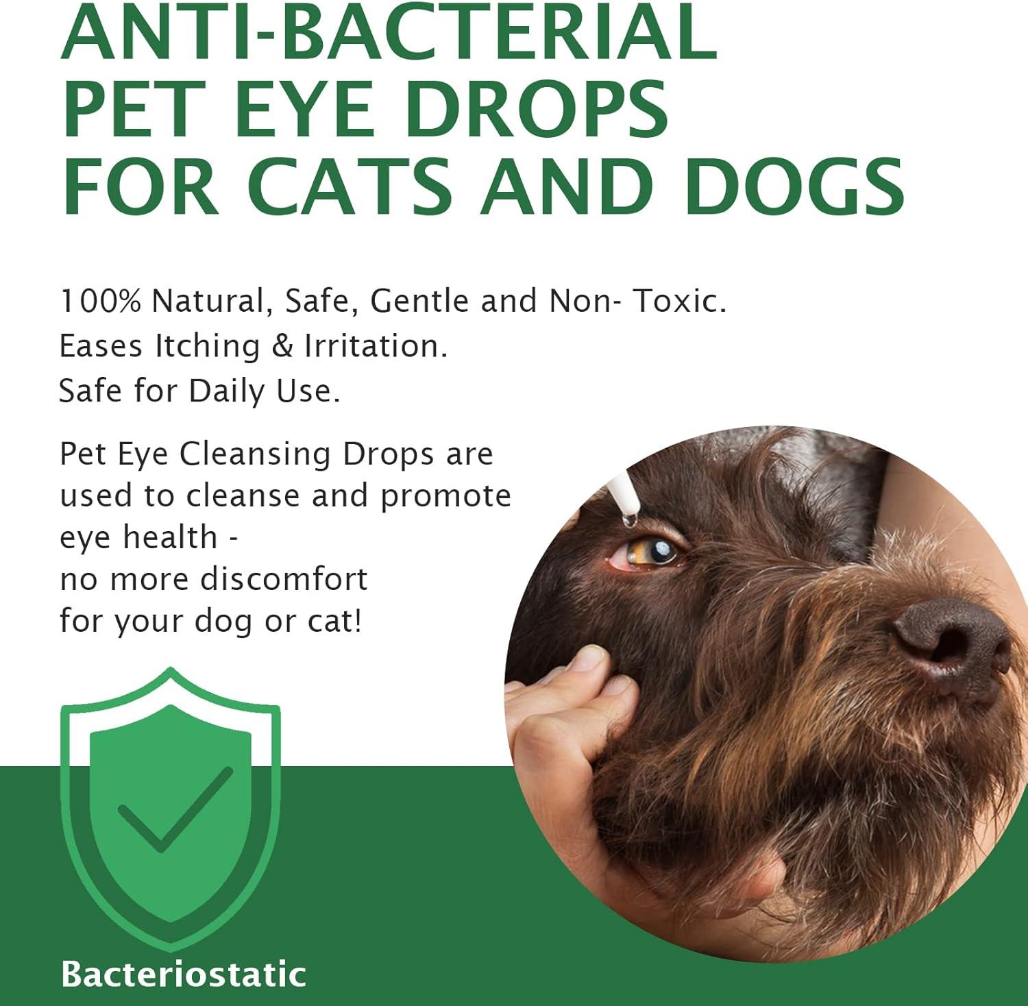 Puppy Home Remedy For Dog Eye Infection Types Of Dog Eye Discharge