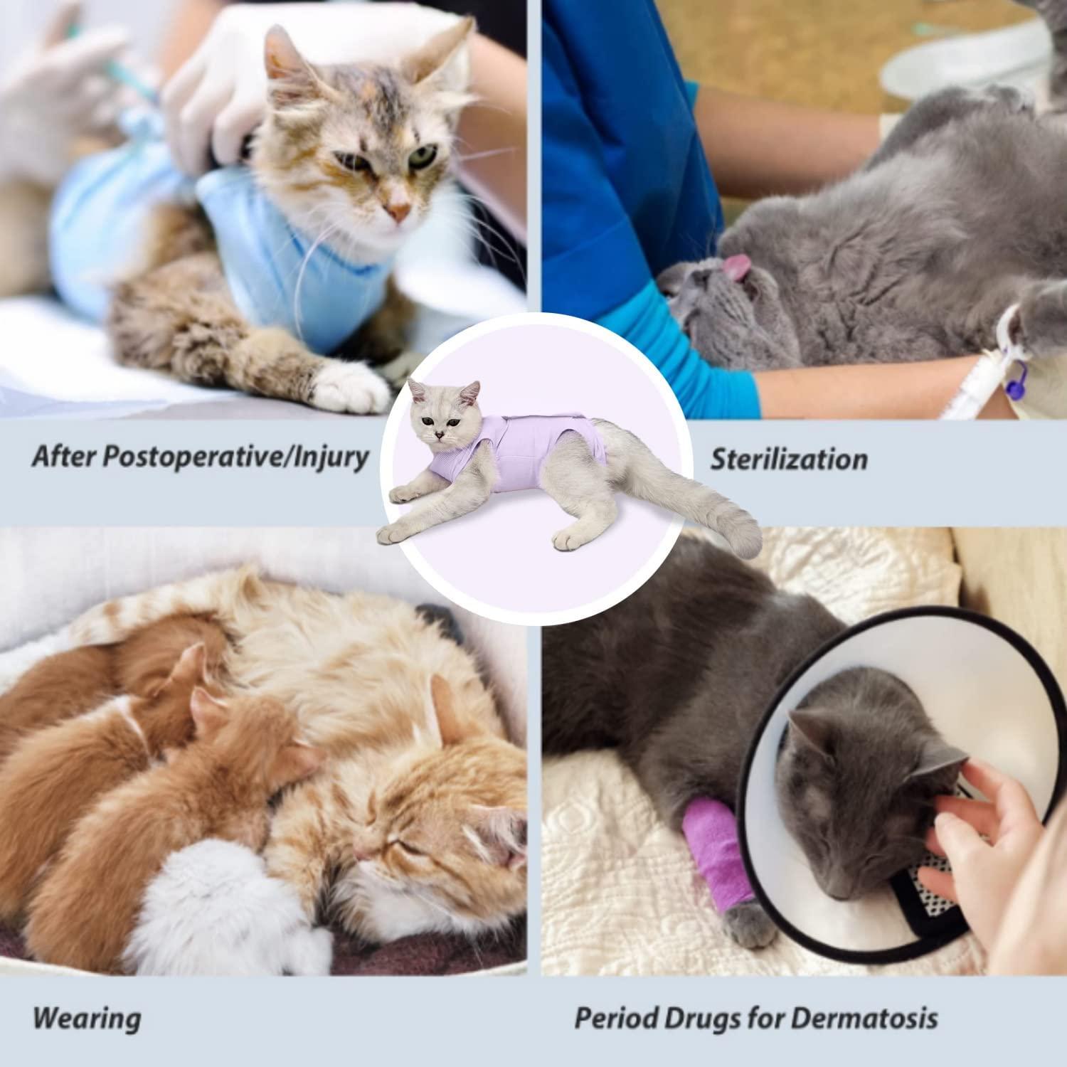 lexvss Cat Recovery Suit for Abdominal Wounds, Professional Cat Surgery