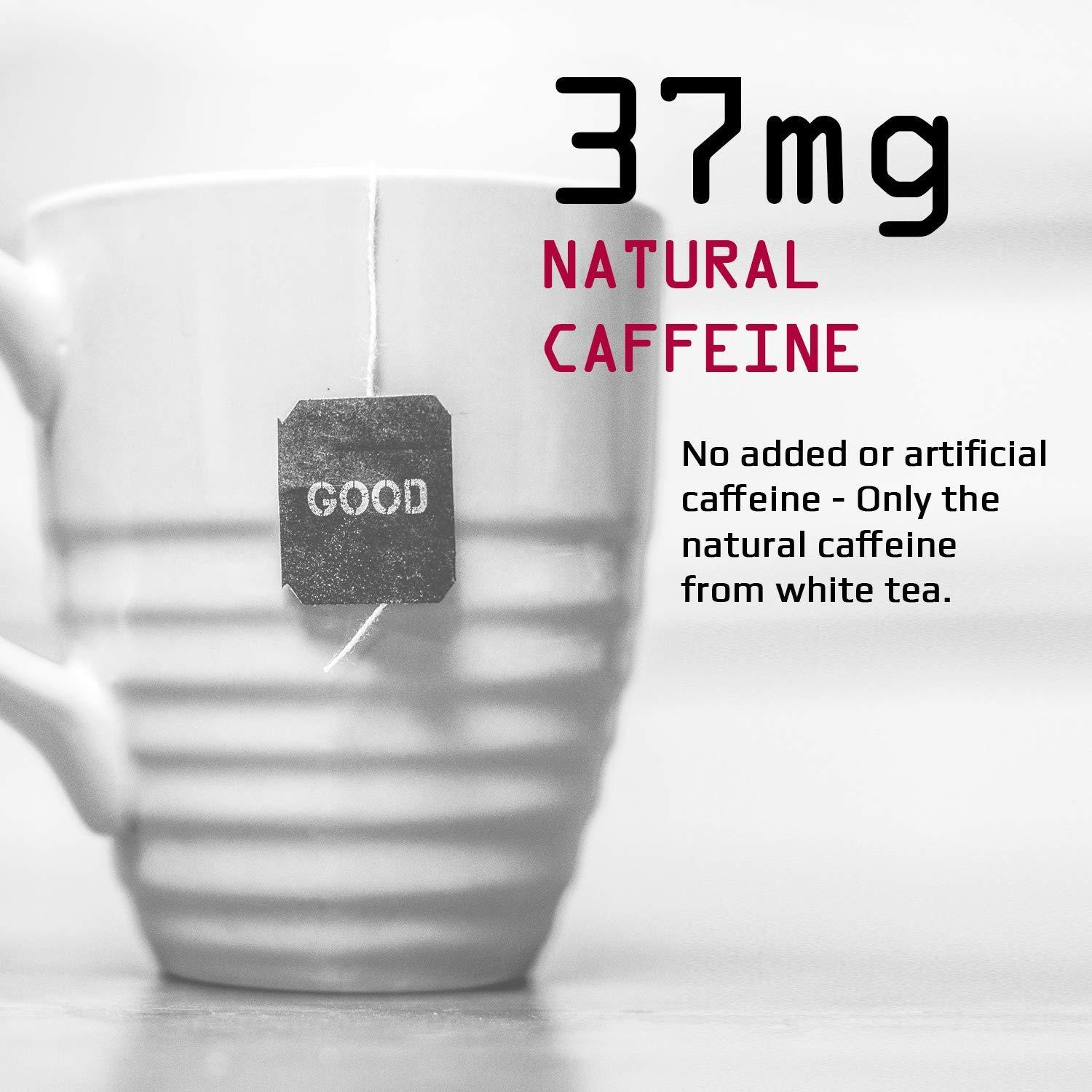 Jocko White Tea RELOAD 100 CT 100 Count (Pack of 1)