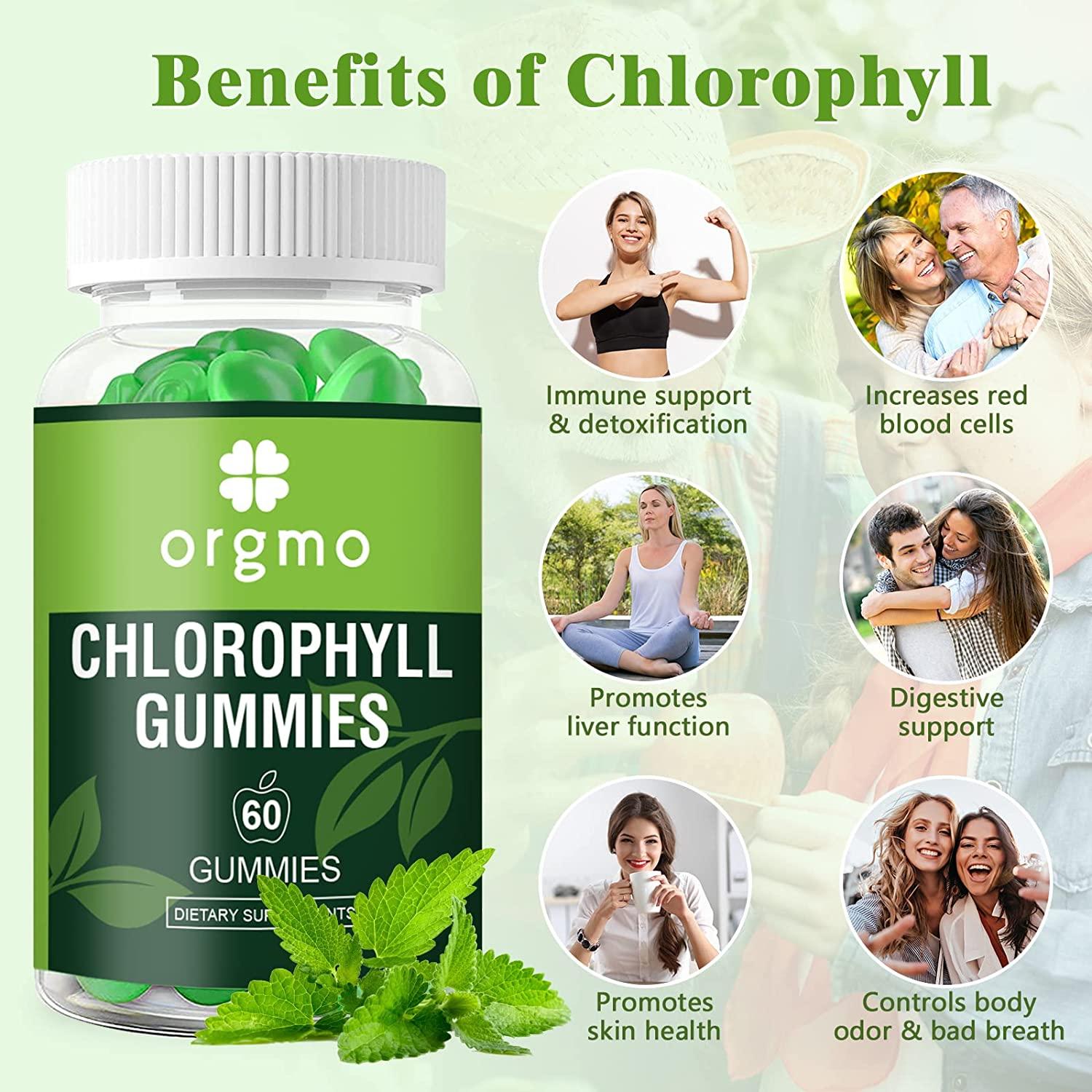 Chlorophyll Gummies Sugar Free with Unfiltered ACV & Vitamin D Energy