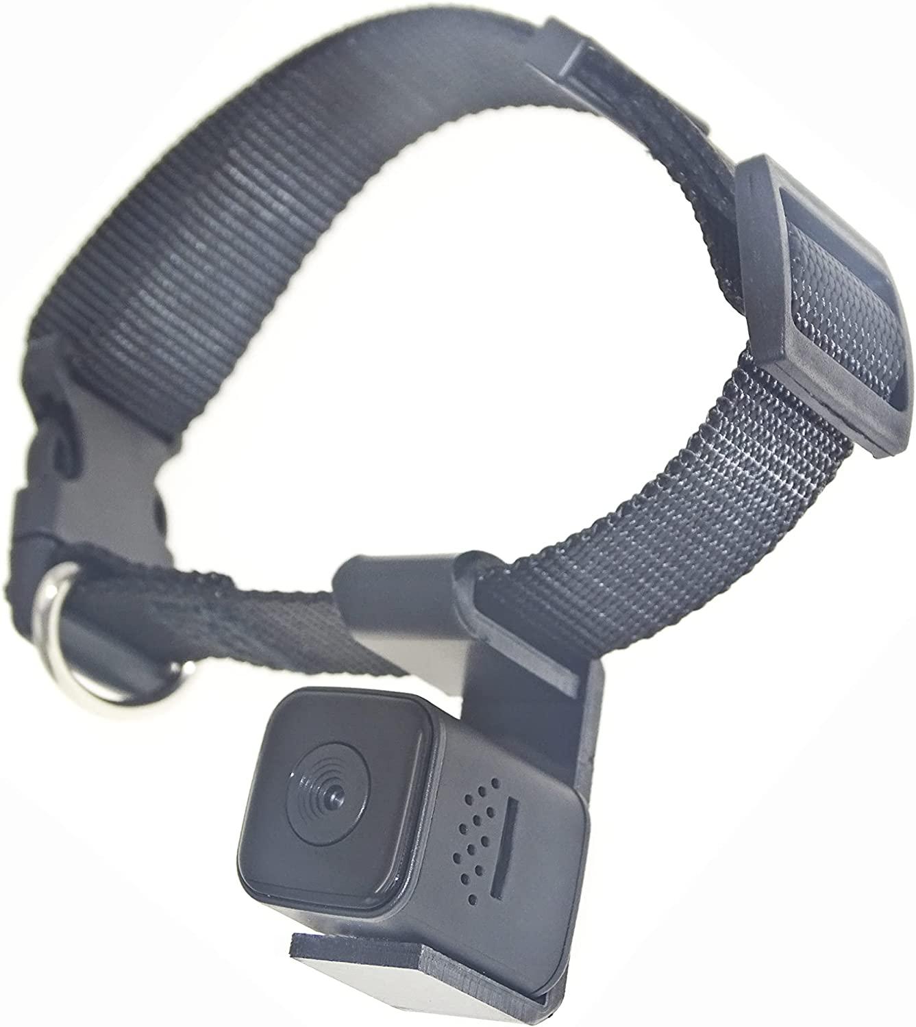 Dog collar with gps shop and camera