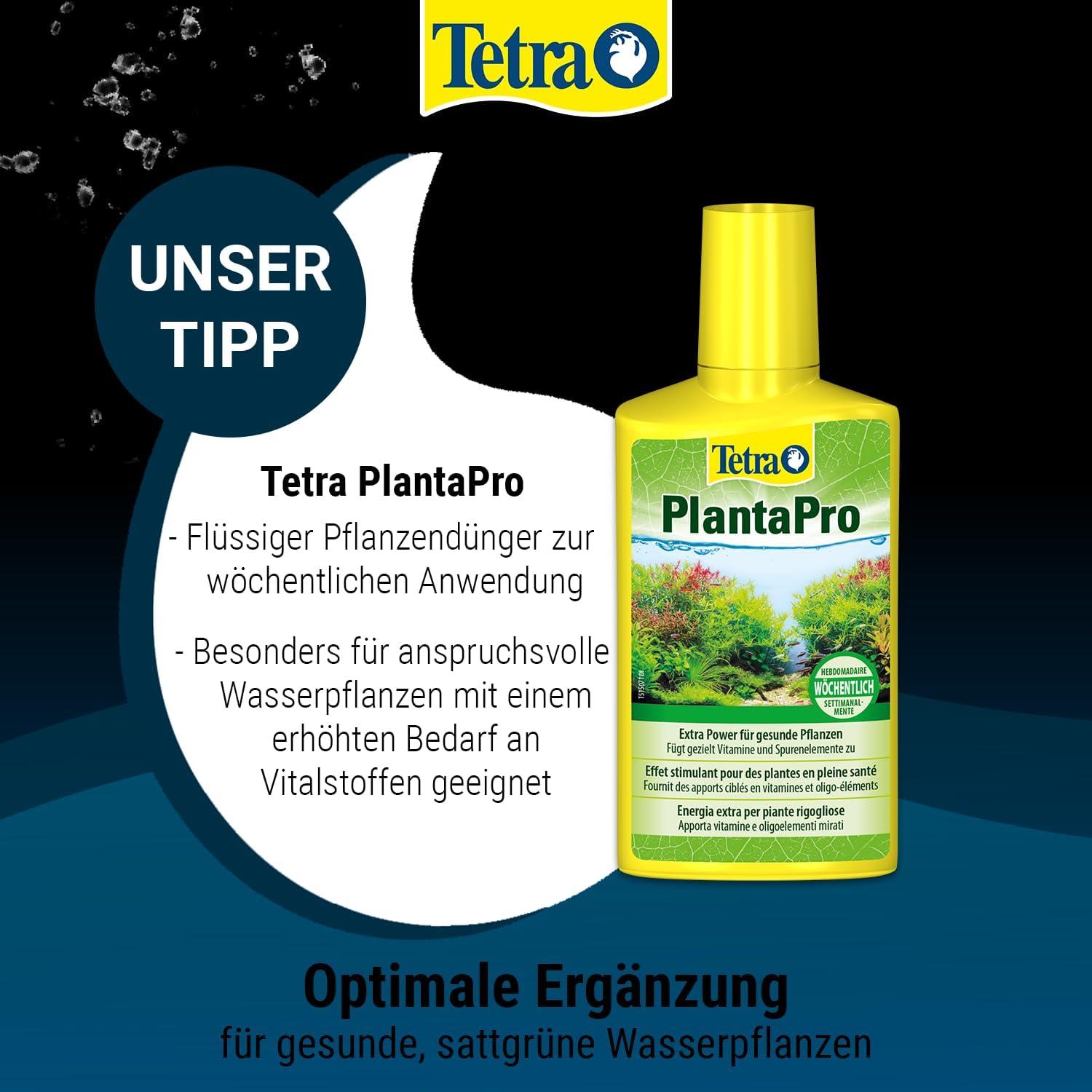 Tetra Plantamine Universal Fertilizer - Liquid Iron for Healthy Aquatic  Plants | 500 ml Monthly Application | Buy Now with Express International  Delivery | GoSupps.com