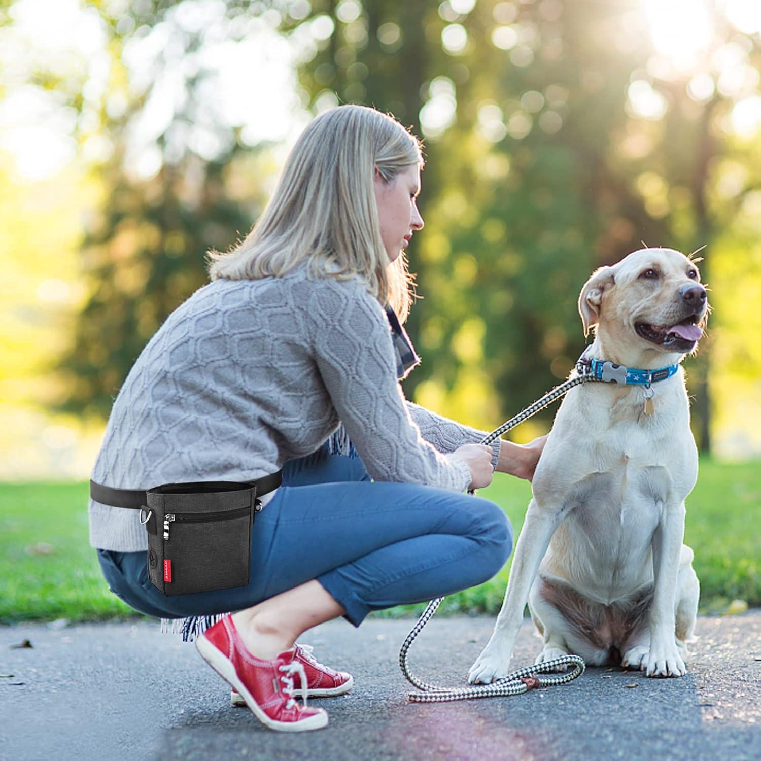 Dog Treat Pouch Magnetic Closure, Puppy Training Bag With Removable