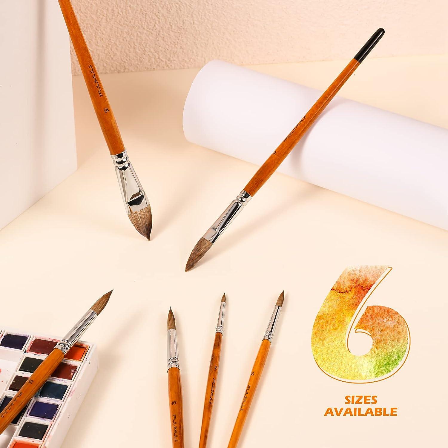 Fuumuui Sable Watercolor Brushes Professional, Fuumuui Kolinsky Sable Brush  Set Variety Shapes with Flat, Detail, Dagger Stripper, Cat's Tongue Oval