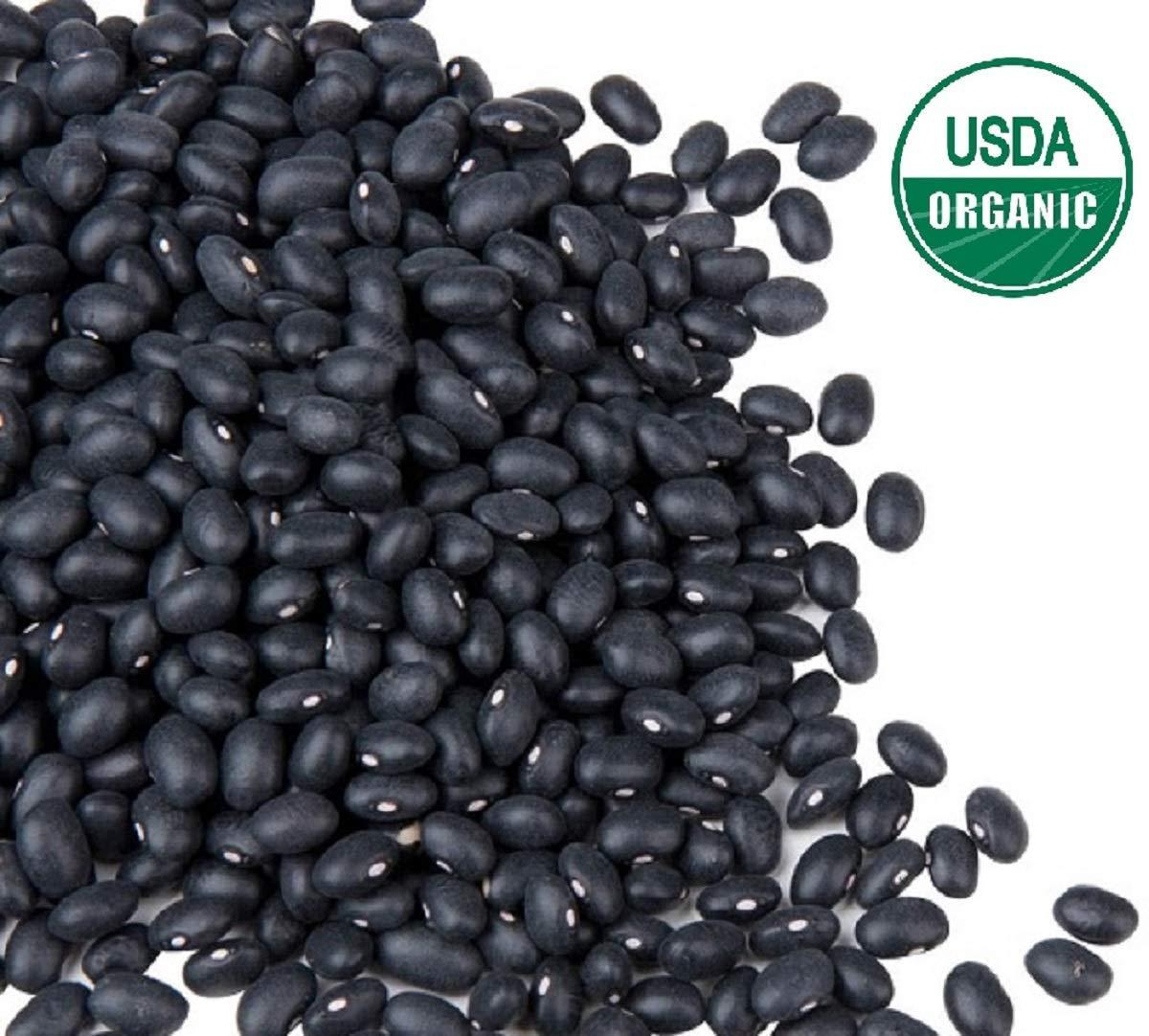 Organic Black Beans Dry Bulk 5 lbs, Fresh Black Turtle Beans, NonGMO
