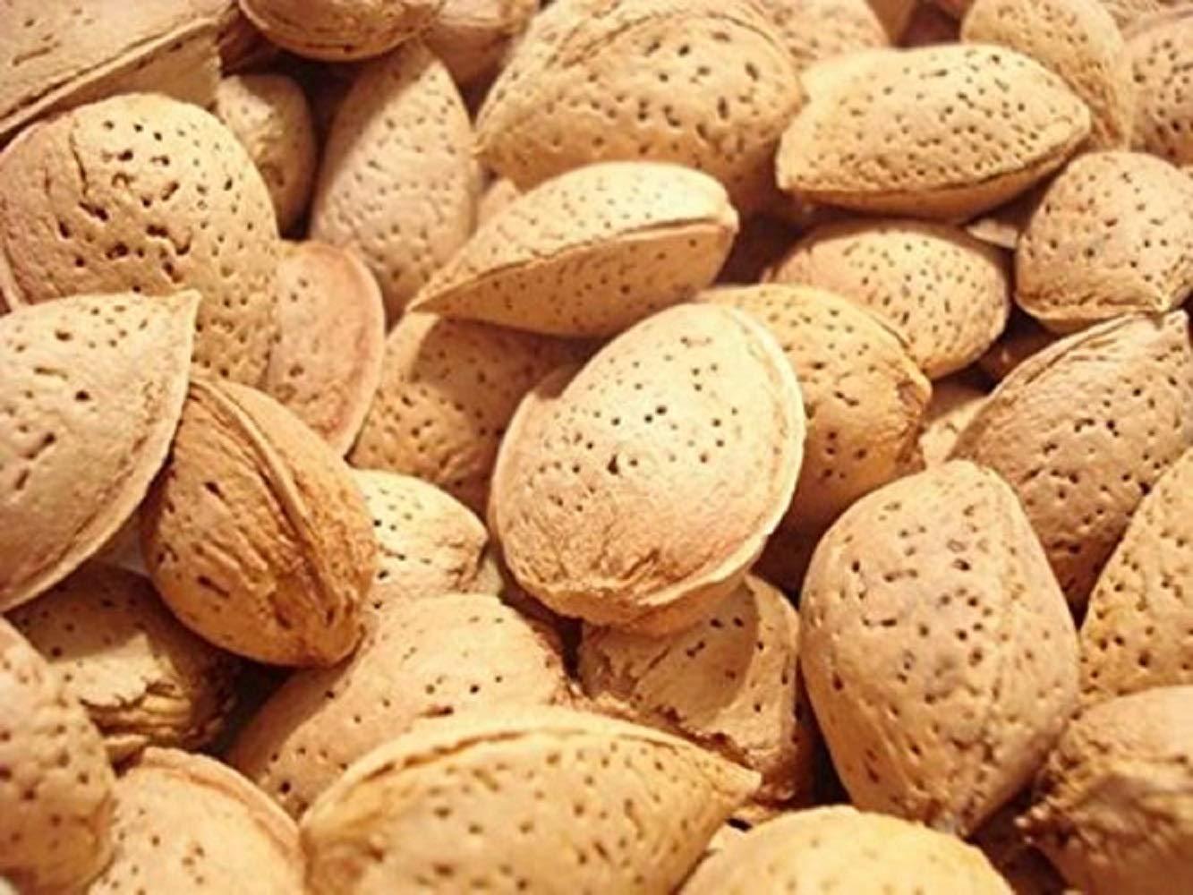 Natural In Shell Raw California Almonds (2 Lbs.) Pure Goodness