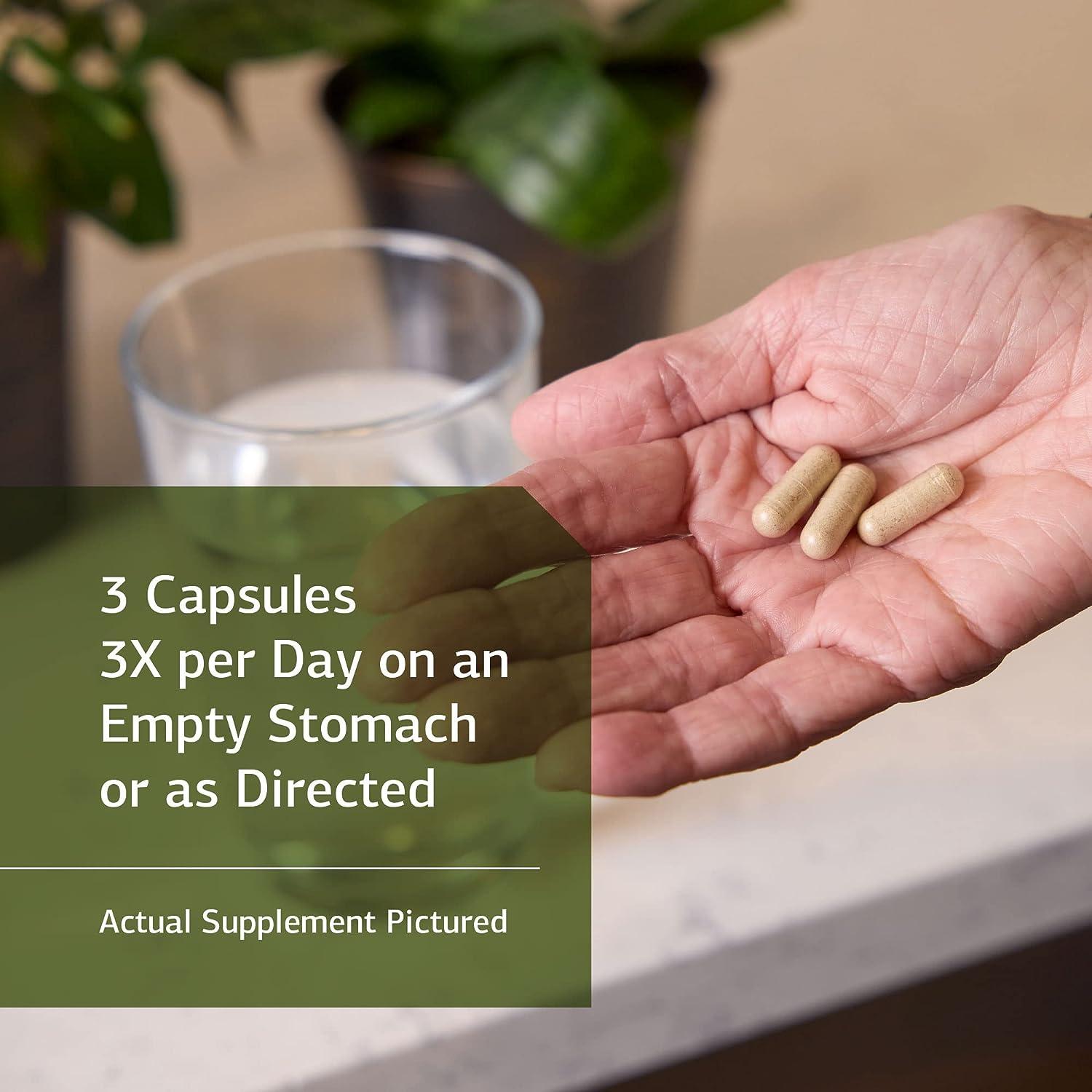 Standard Process GastroFiber Whole Food Digestion and Digestive Health Indigestion and Cramps