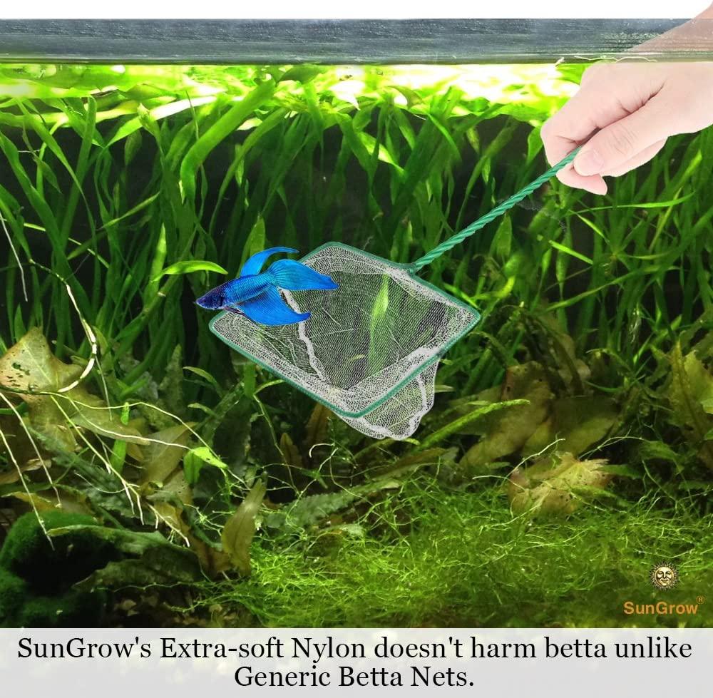 SunGrow Betta Fish Net, Protect Delicate Fin, 5x4 Inches with 11 Inches  Handle, Extra Soft Nylon Net, Easy Routine Aquarium Tank Maintenance