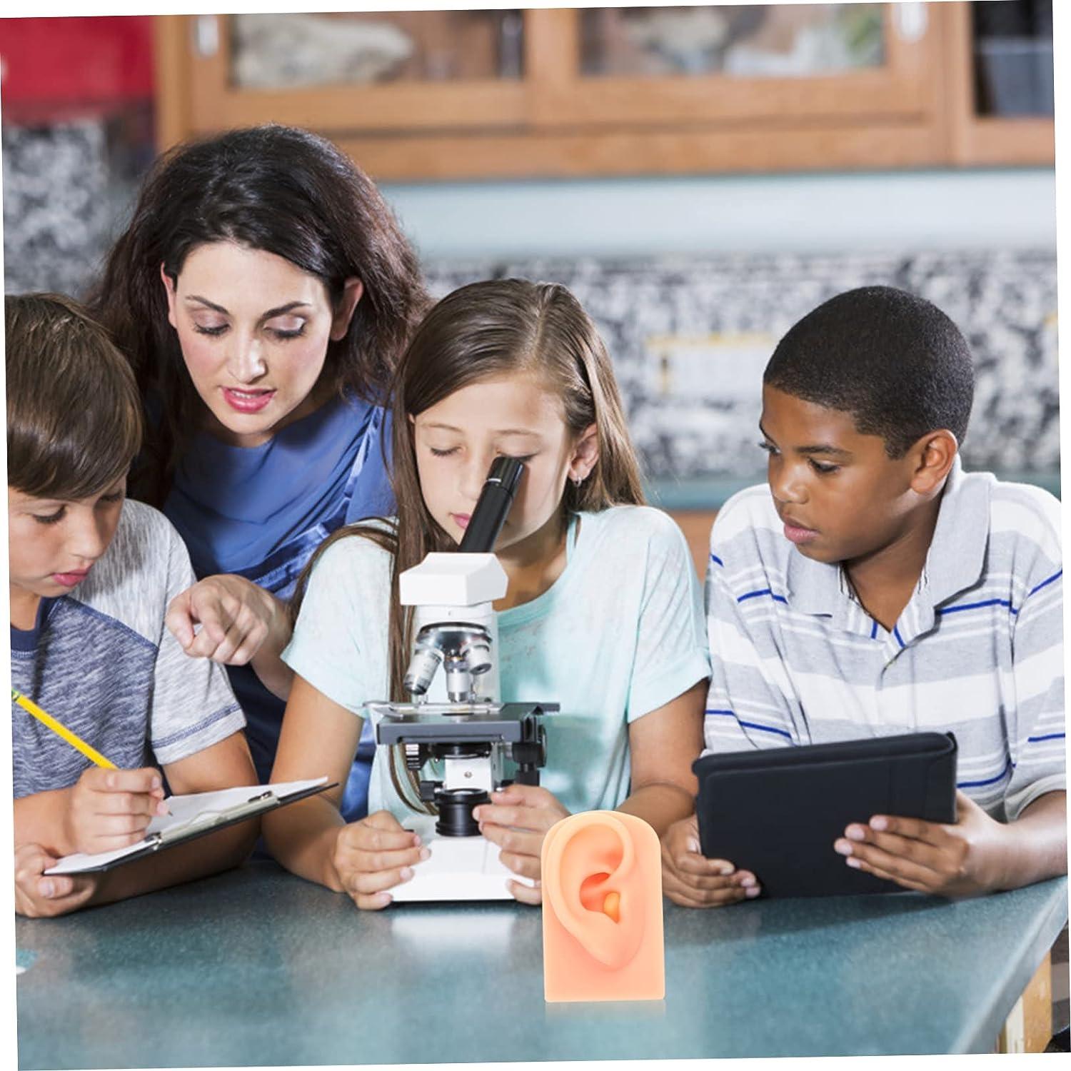 ULTECHNOVO Simulation Ear Model Ear Model Silicone Body Parts for