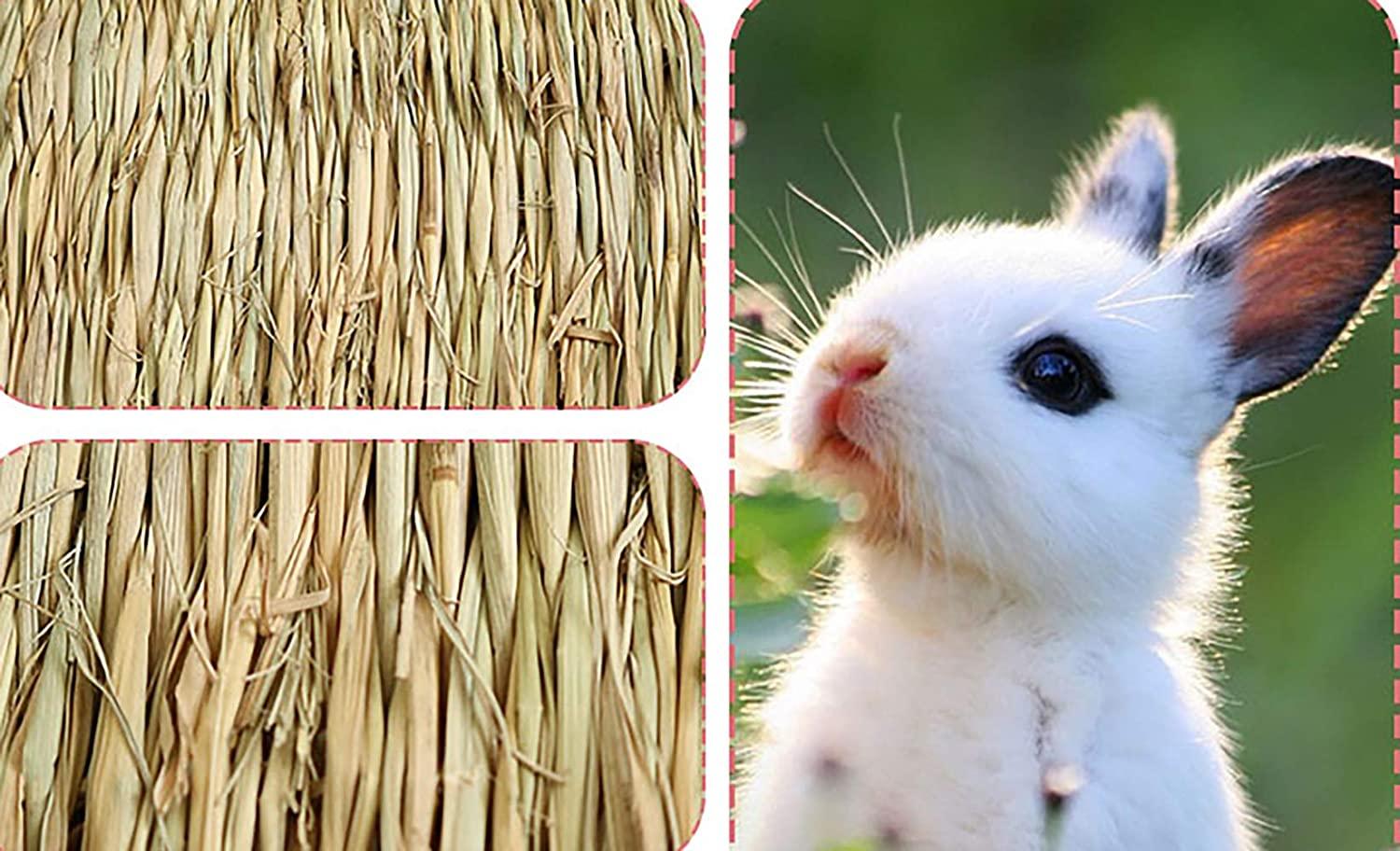 Squirrel nest dog toy sale