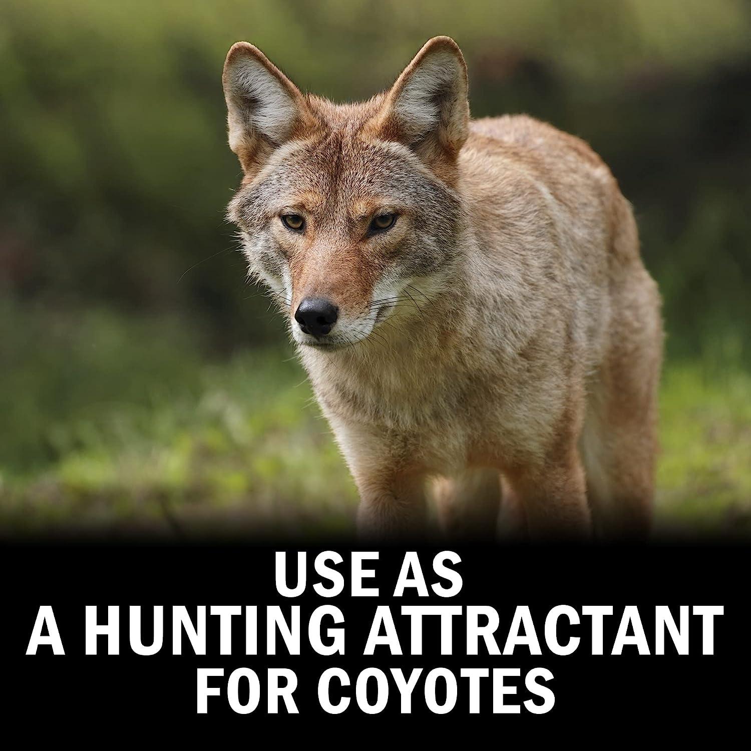 Outdoor Hunting Lab Coyote Urine Animal Spray - Keeps Away
