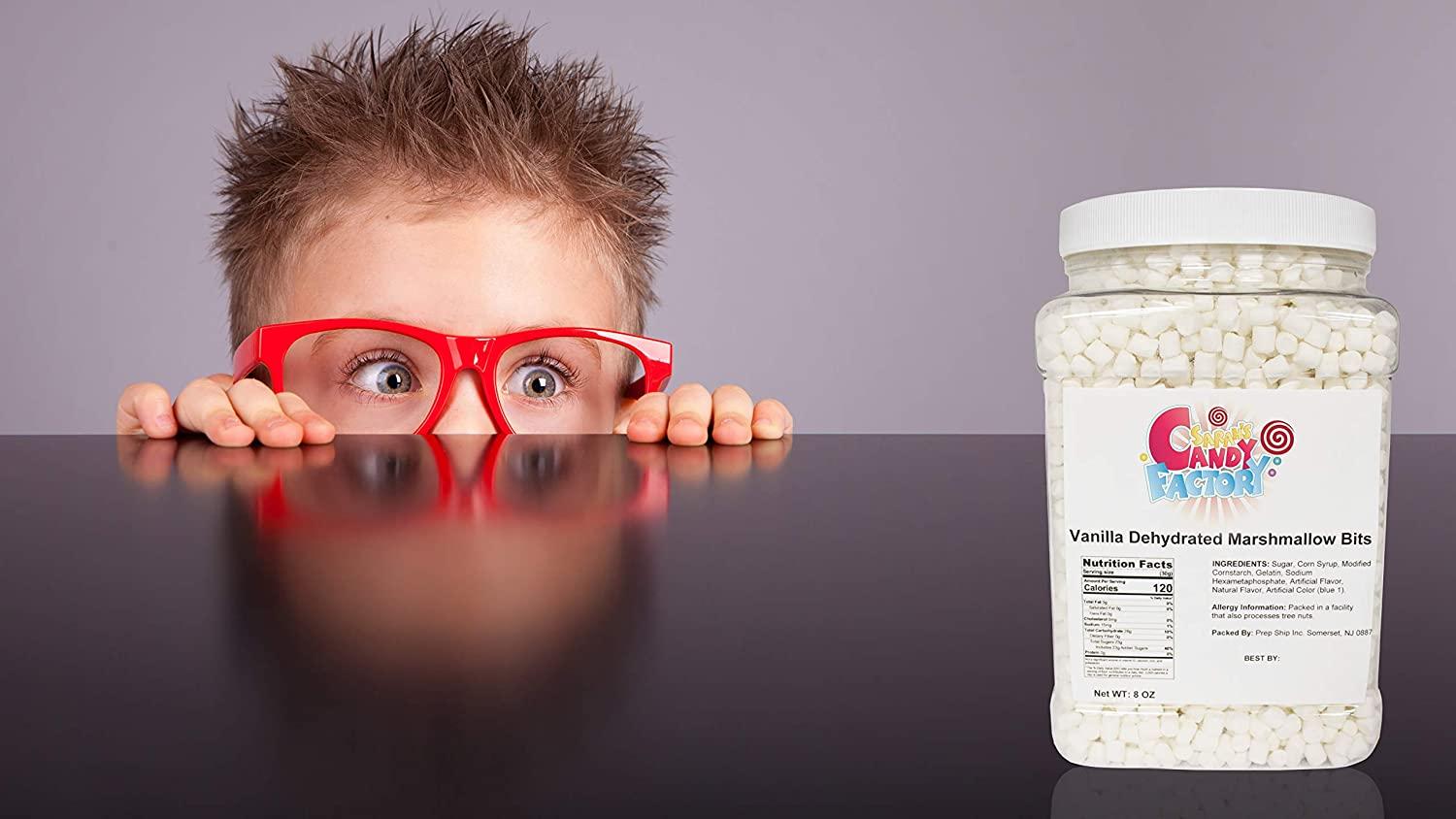 Sarah's Candy Factory Vanilla Mini Dehydrated Marshmallow Bits in Jar, 8 Oz