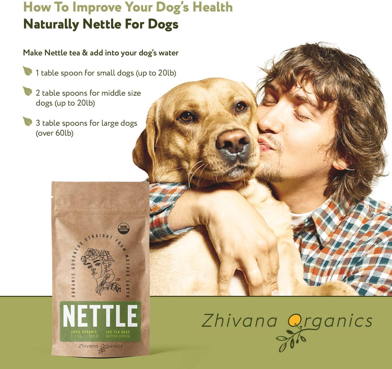 Stinging Nettle Tea Organic Nettles, Stinging Nettle Leaf, Ortiga