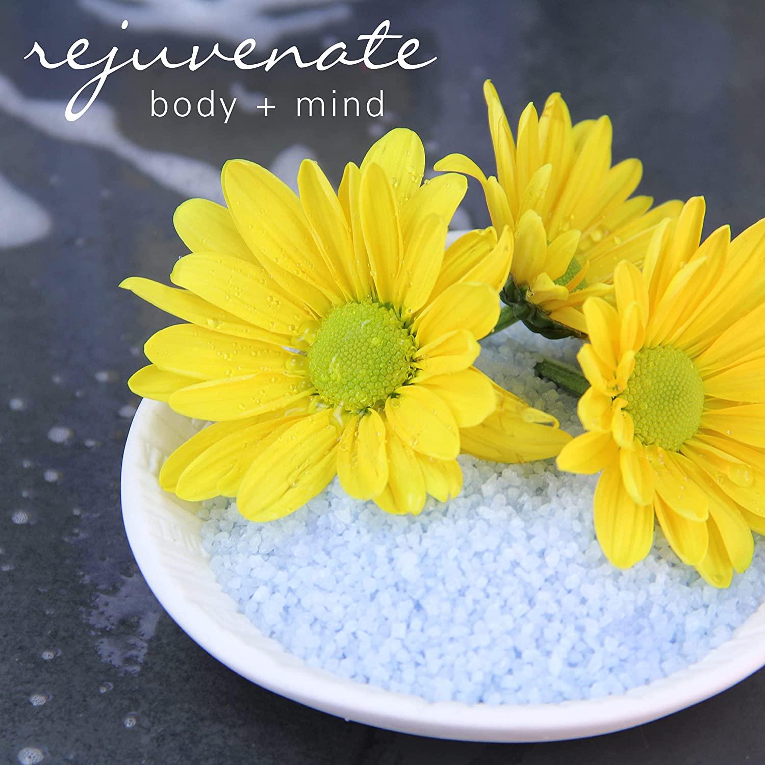 Village Naturals Therapy Chronic Pain Relief Bath Soak 36 oz Pack of 2