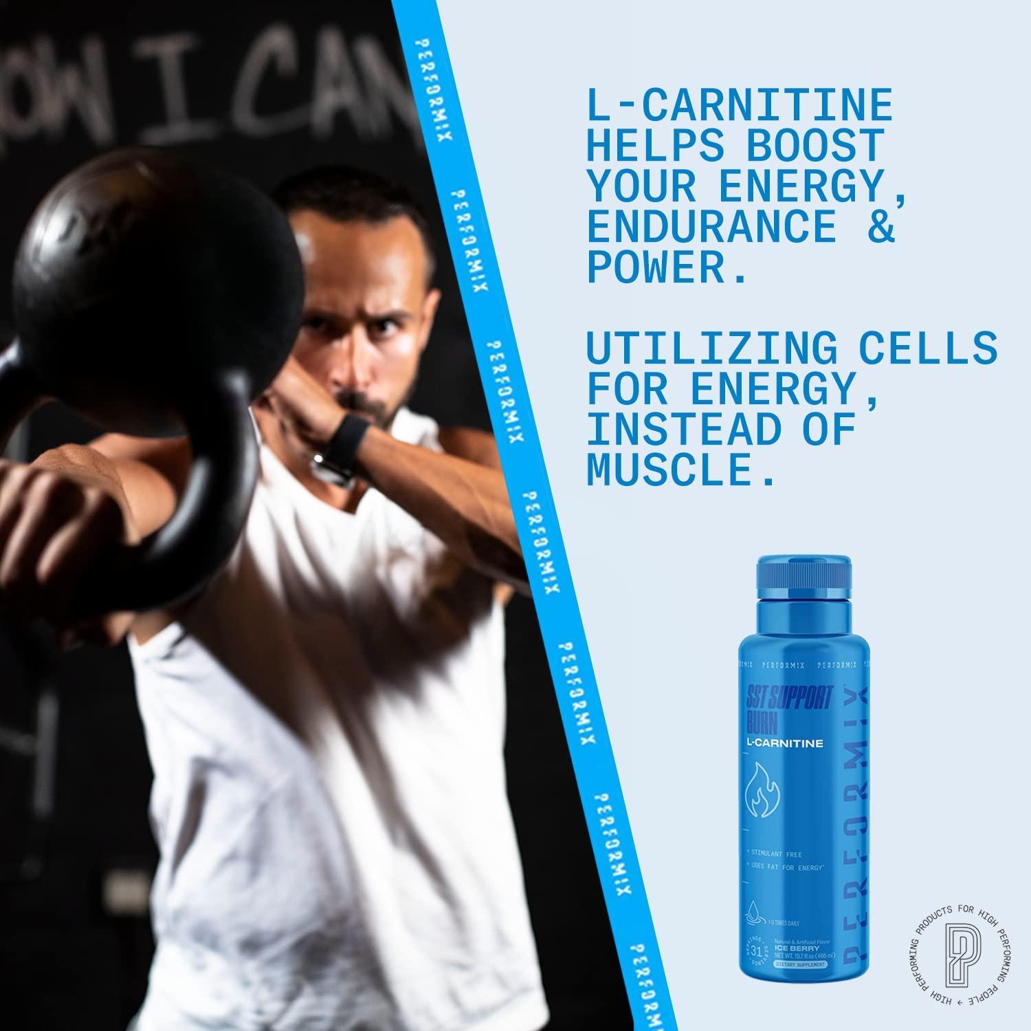performix sst l carnitine Sst Performix