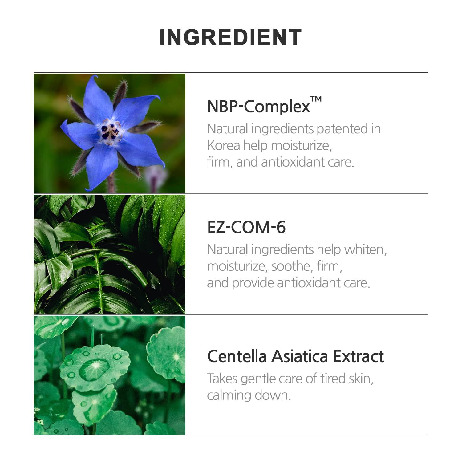 Incellderm Active Cream EX 50ml | Facial Moisturizer for Korean