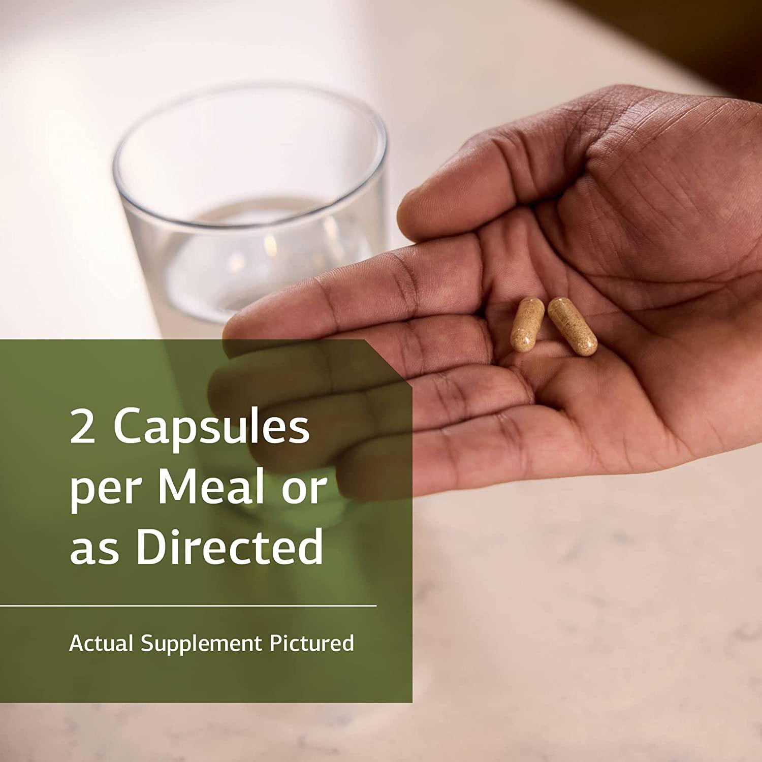 Standard Process Immuplex Whole Food Immune Support and Antioxidant