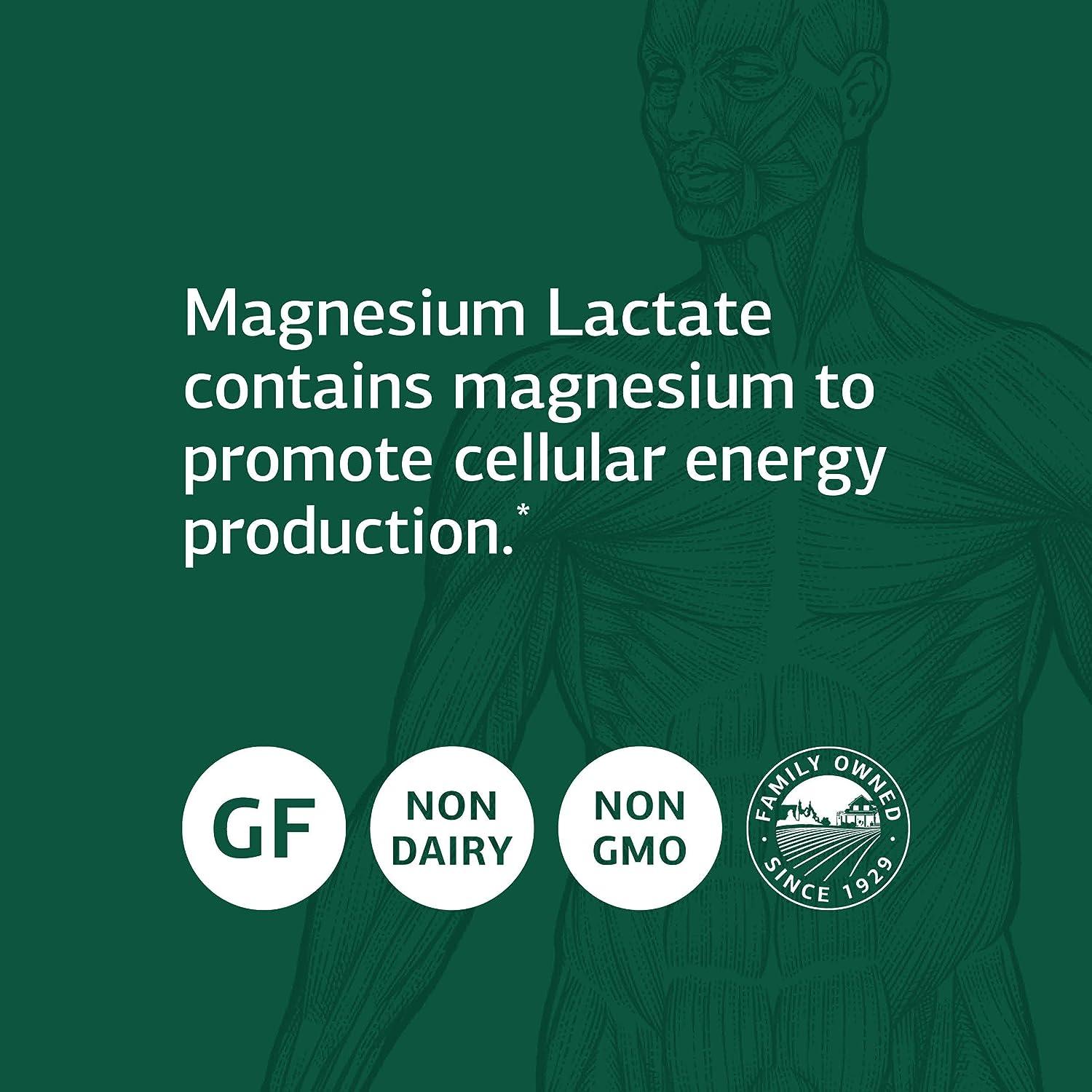 Standard Process Magnesium Lactate Whole Food Energy Support 90