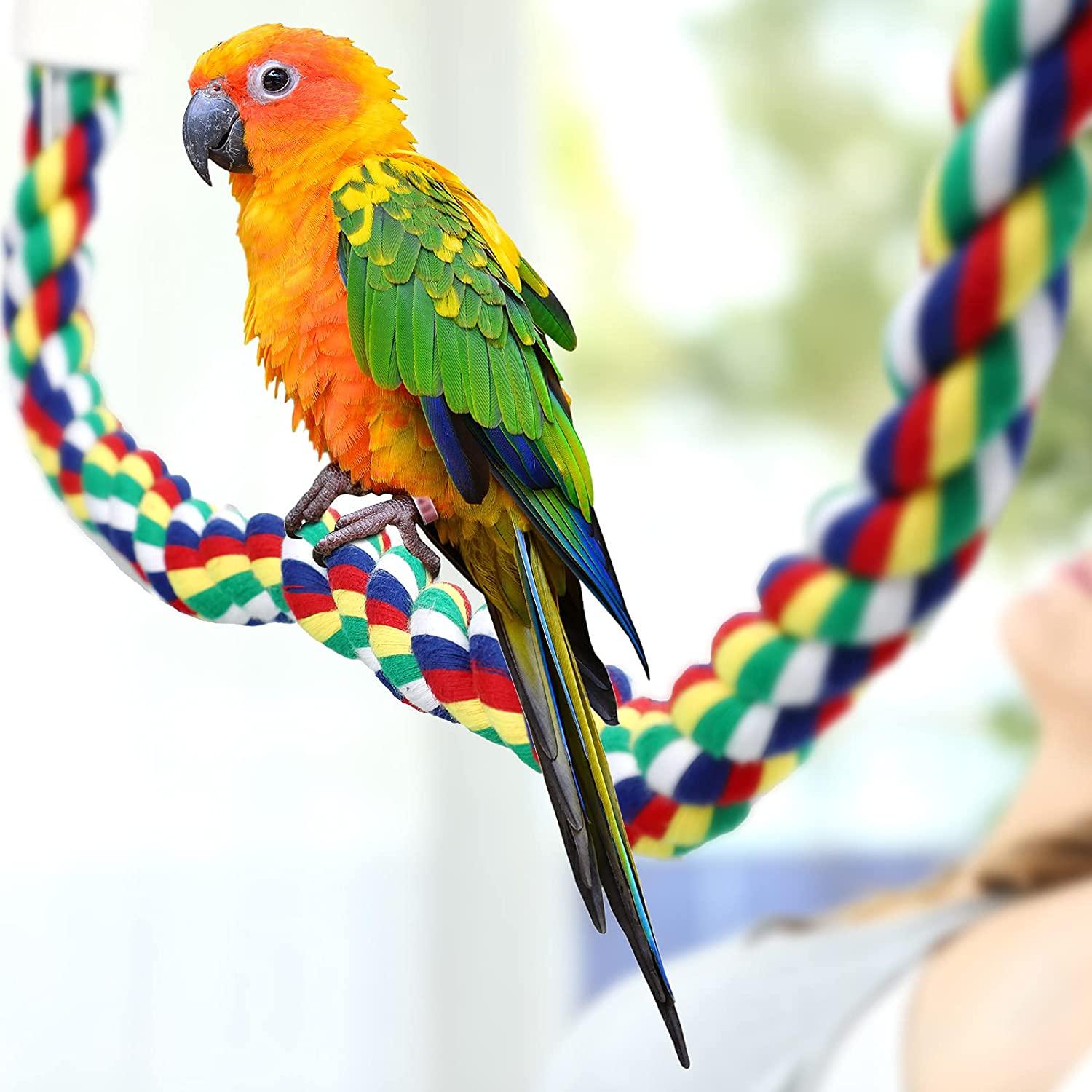 thumbnail image 2 of Rope Perches For Bird Cages Gradient Sunset Color Bendable Climbing Rope Ladders Swings For Parakeets Budgies Cockatiels Conures Lovebirds 2 of 13