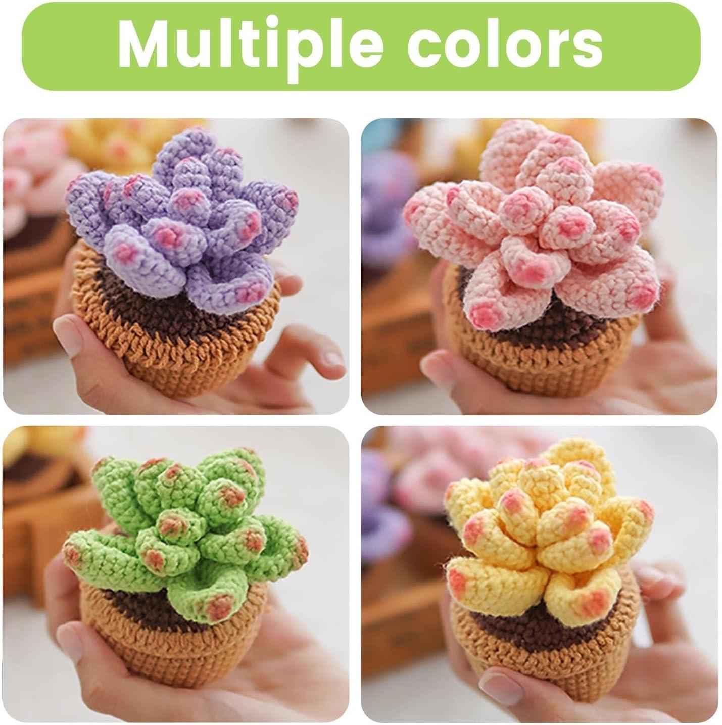 Crochet Kit for Beginners - 4Pcs Succulents, Beginner Crochet