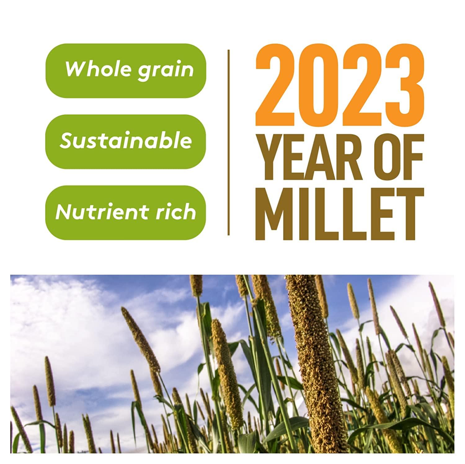 Incept 3 lbs Millet Grain, Hulled Foxtail Millet, Whole Grain, Vegan