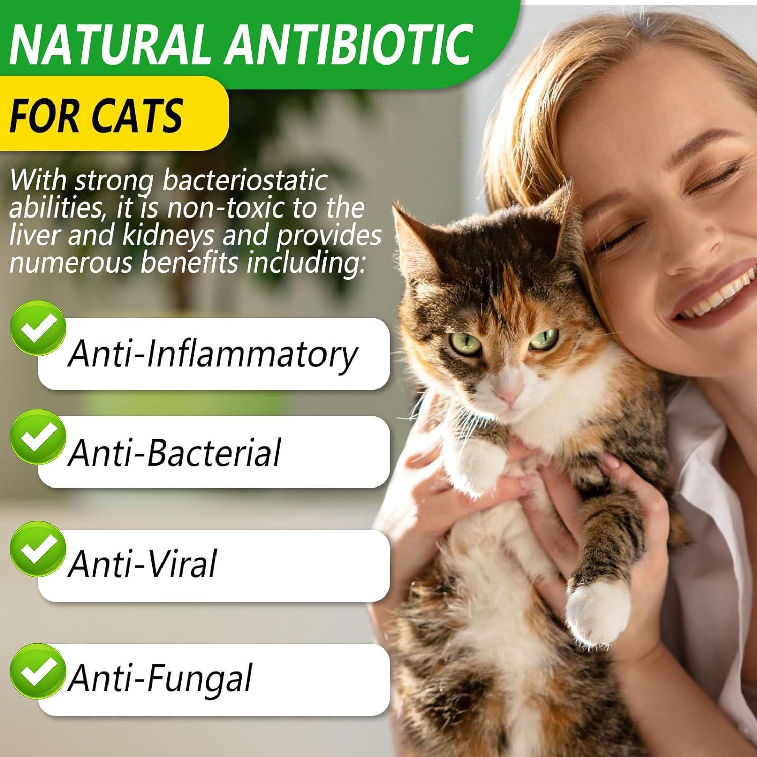 Cat Antibiotics 60ml Natural Antibiotics for Cats Supports Immune
