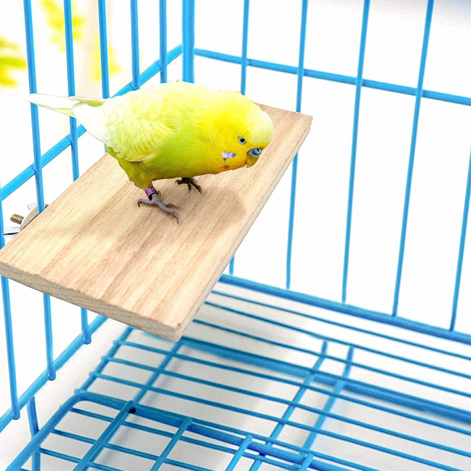 Filhome Bird Perch Stand Toy, Natural Wood Parrot Parakeet