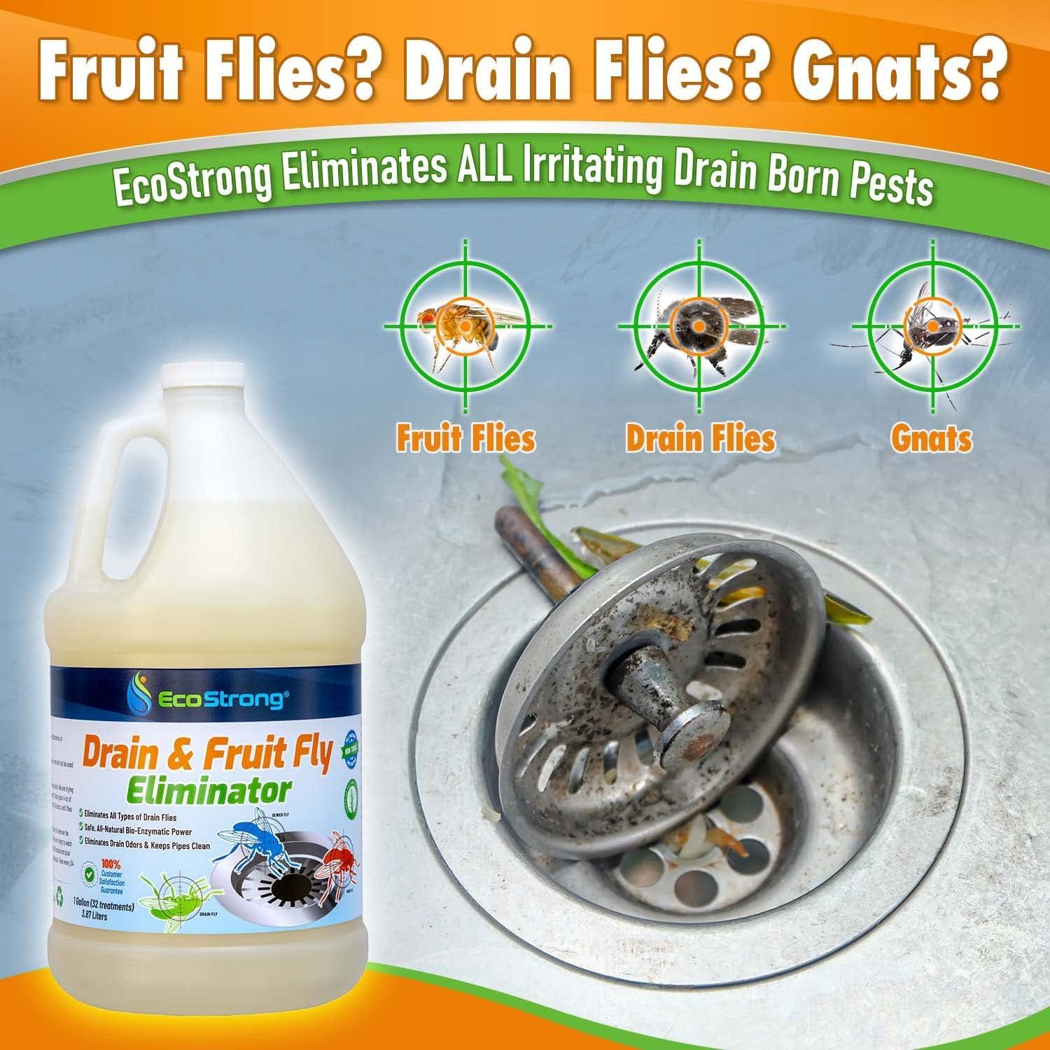 Fruit Fly Drain Treatment Drain Fly Eliminator AllNatural, Eliminates Gnats, Sewer Flies