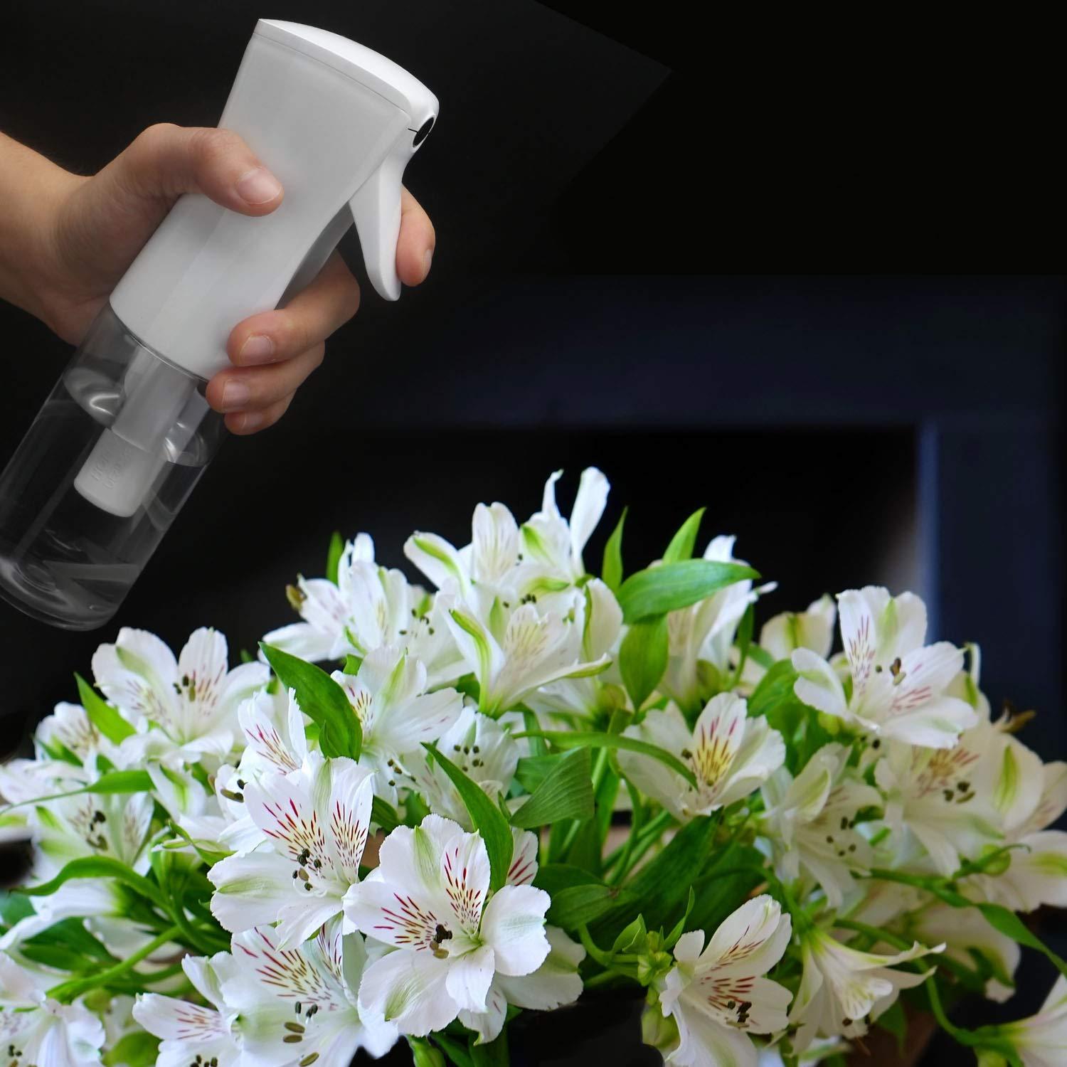 Segbeauty Clear Plant Mister 5.4oz Refillable Fine Mist Spray Bottle