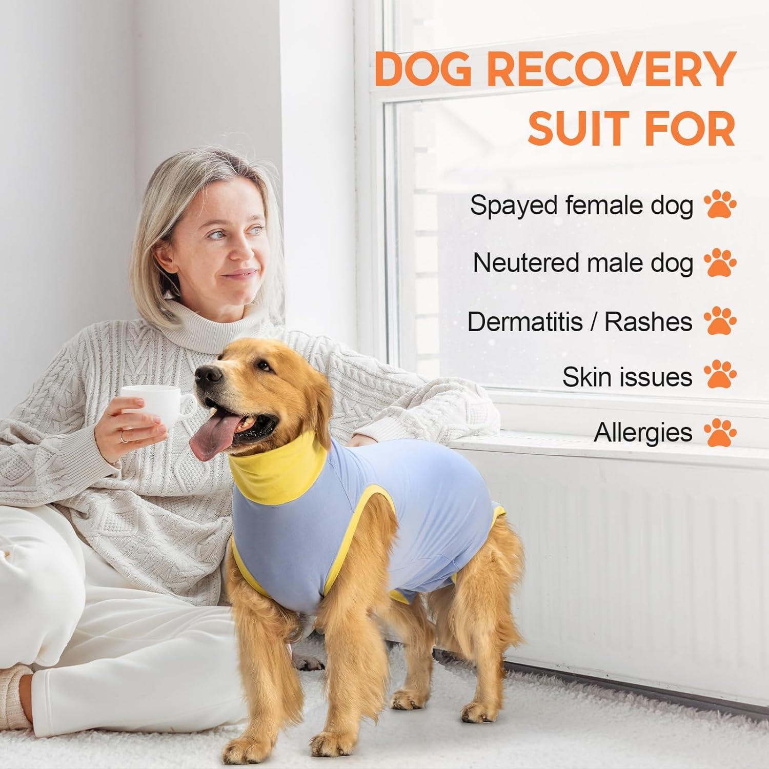 Female Dog How Are Male Dogs Neutered Large Dog Surgical Recovery