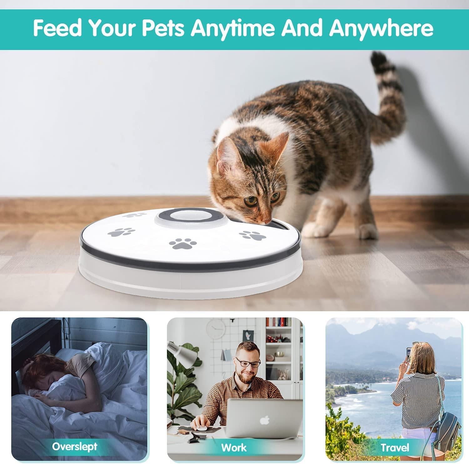 Chintu Automatic Cat Feeder Programmable Pet Food Dispenser for