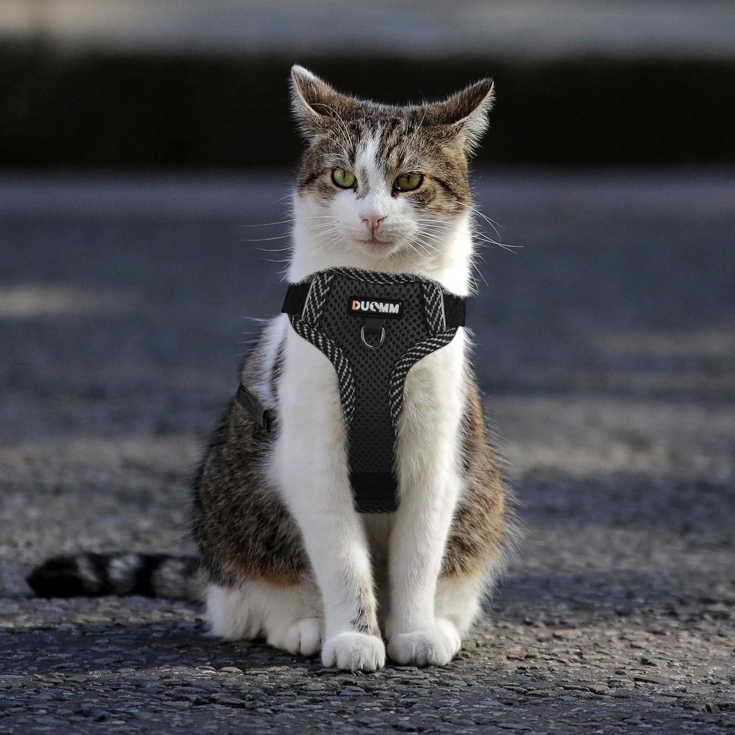 Adjustable Reflective Black XL Cat Harness and Leash Set Escape