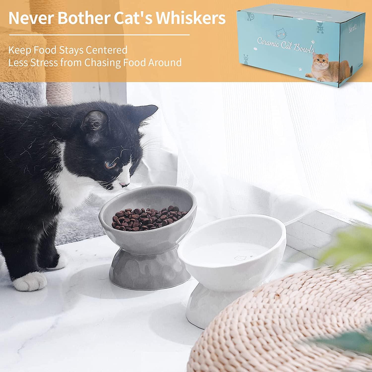 Elevated Cat Dishes 2-Pack Elevated Ceramic Cat Food Bowls With Stand -  Raised Anti-Vomit Feeder For Cats & Small Dogs, Grey, Dishwasher Safe