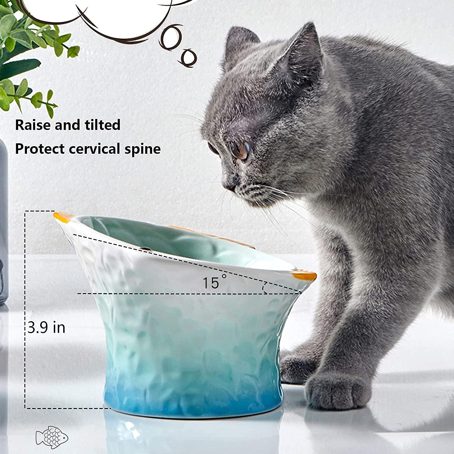 Raised Tilted Ceramic Cat Bowl - Cute Elevated Slanted Shallow Angled Cat  Dish - Personalized Pet Feeder for Food Feeding - Ergonomic Anti Vomiting  Whisker Fatigue - Size for Cat and Small Dog light green